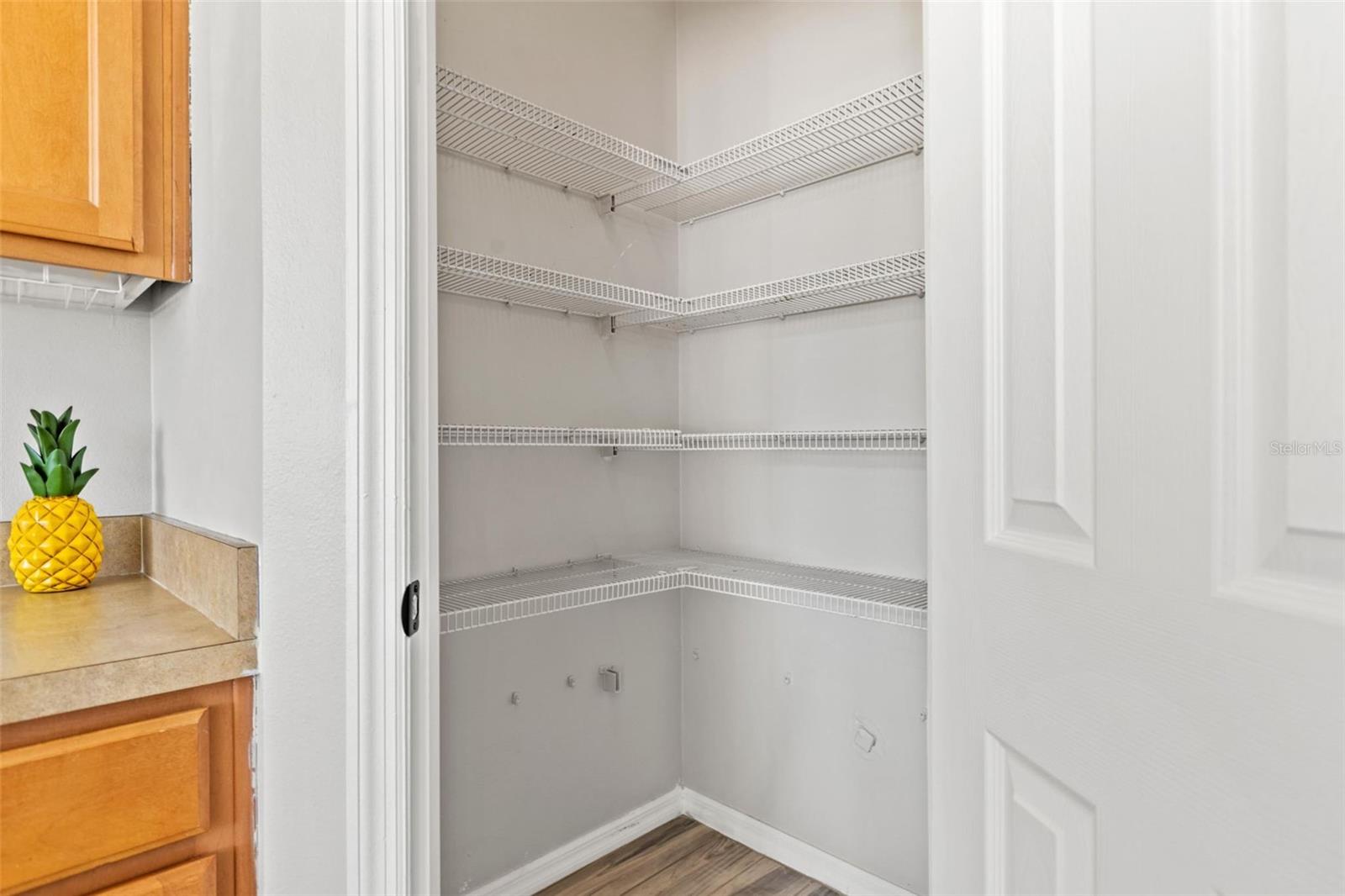 8874 CHRISTIE DR — photo 13