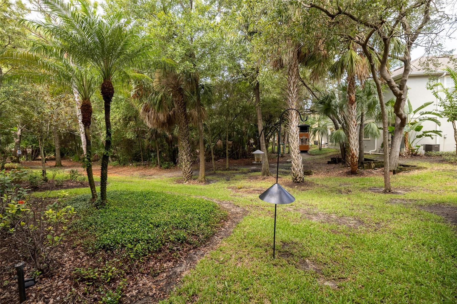 6717 EAGLE FEATHER DR — photo 26