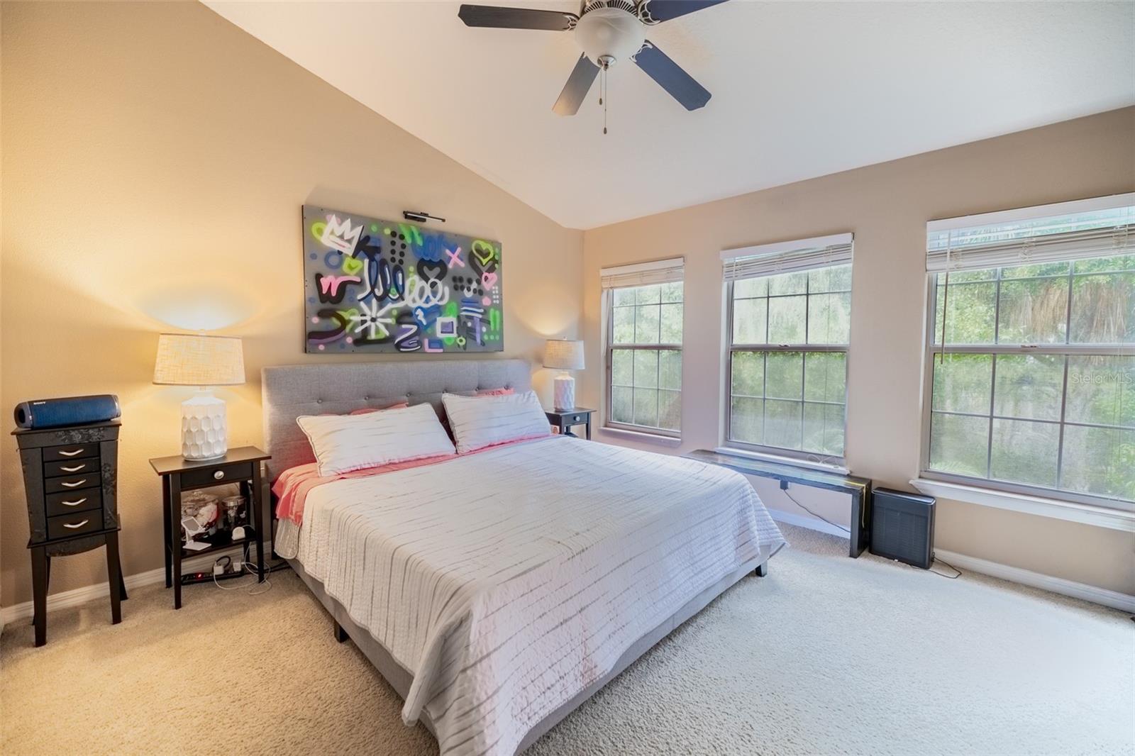 6717 EAGLE FEATHER DR — photo 19