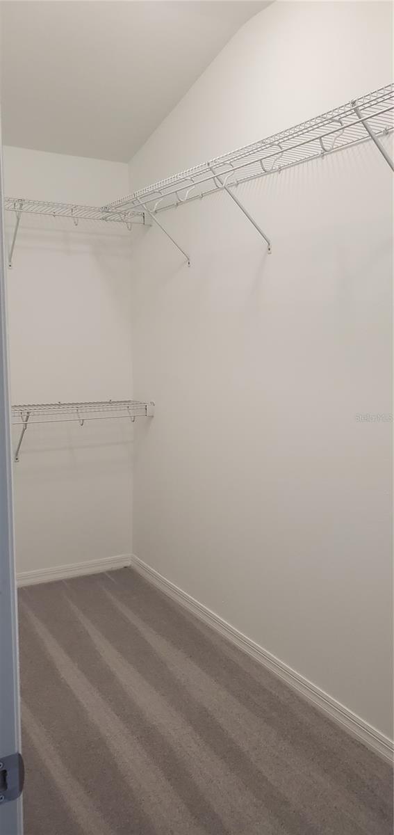 29821 SOUTHWELL LN — photo 7