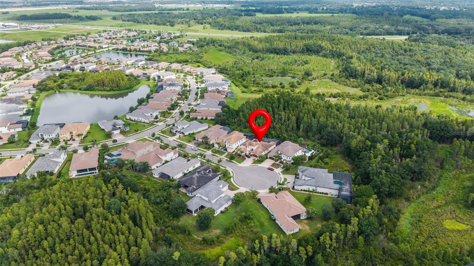 30581 IVY FORGE CT — photo 5