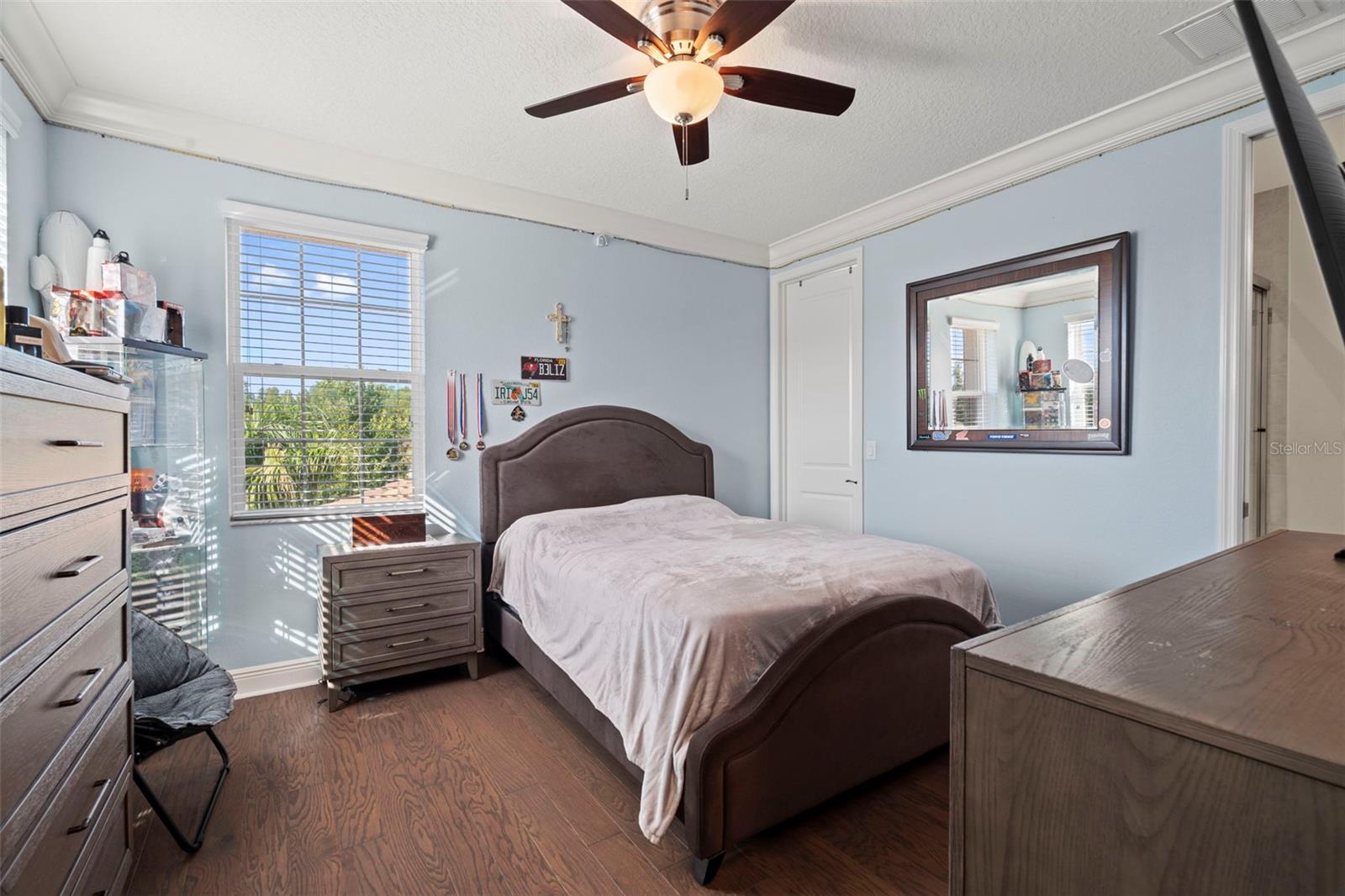 30581 IVY FORGE CT — photo 45