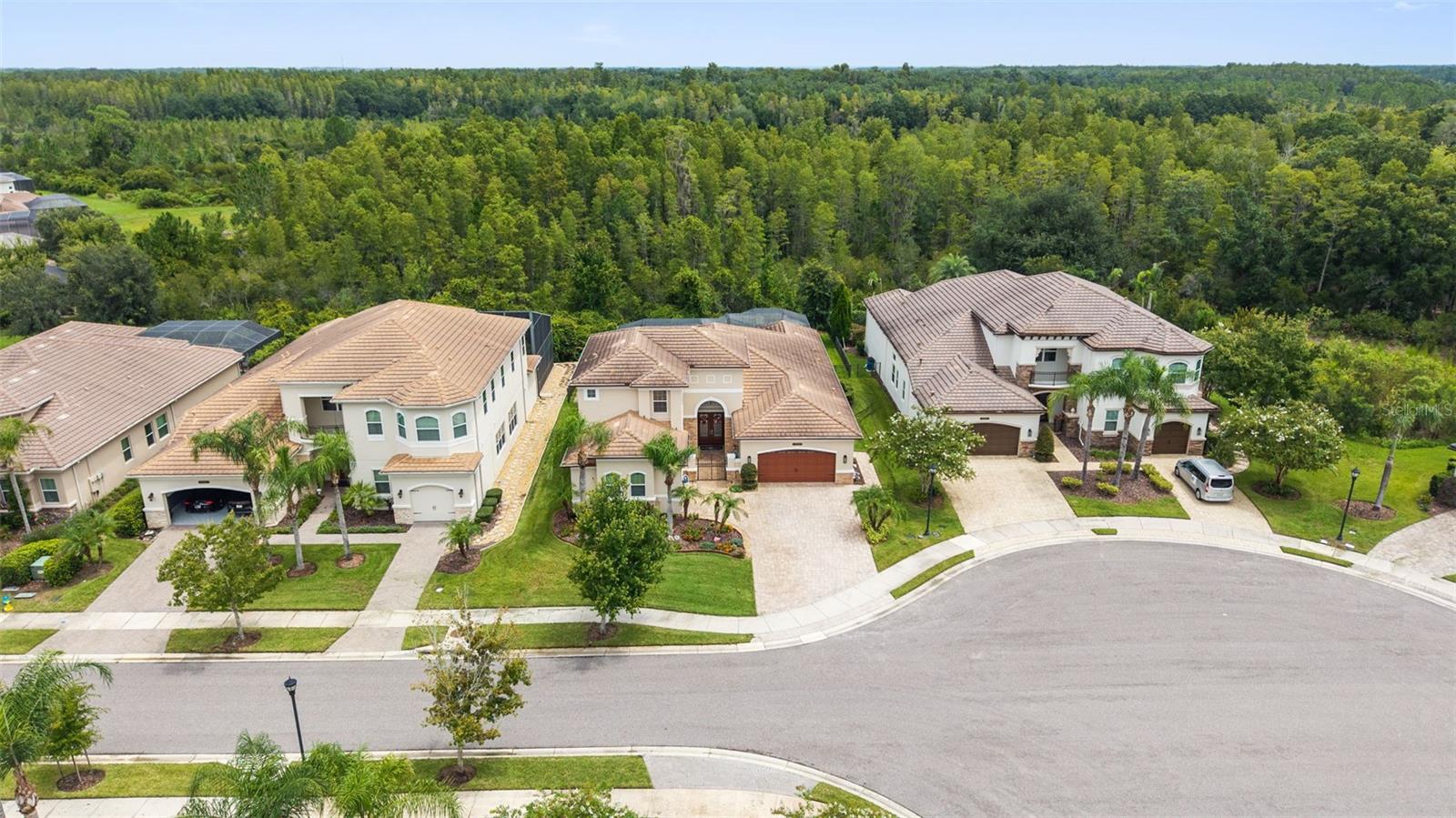 30581 IVY FORGE CT — photo 63