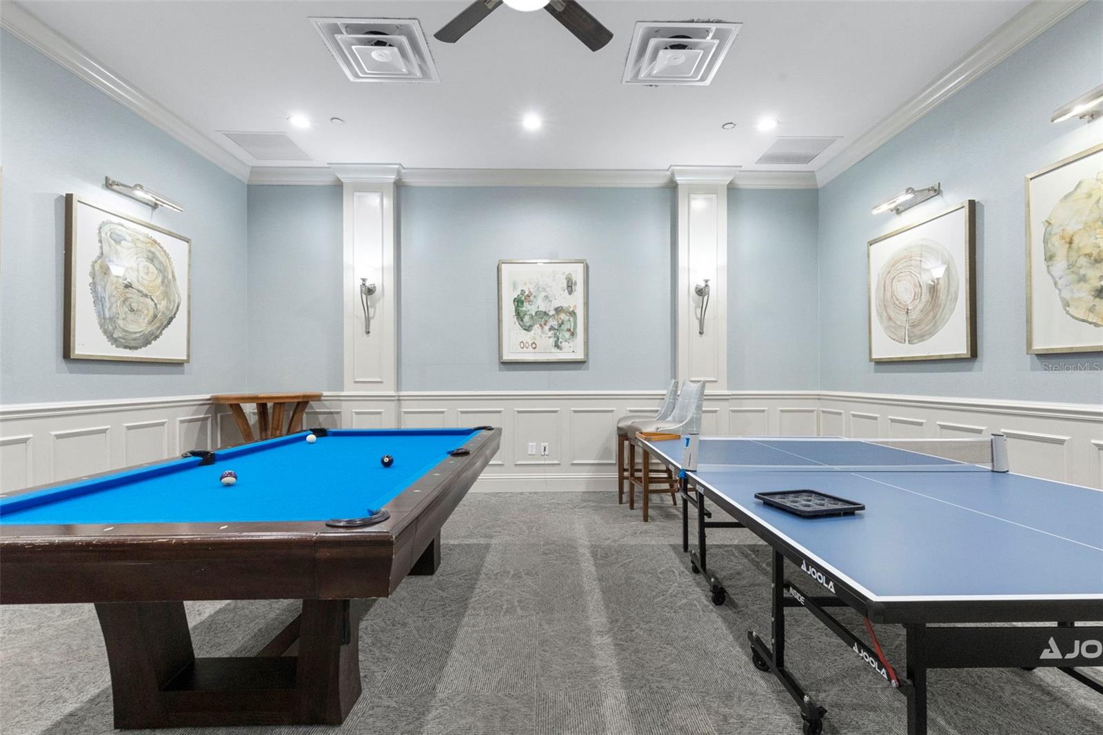 30581 IVY FORGE CT — photo 75