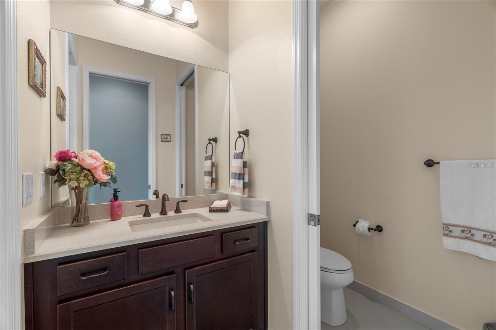 30581 IVY FORGE CT — photo 55