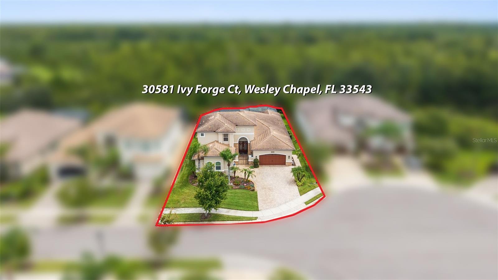 30581 IVY FORGE CT — photo 60