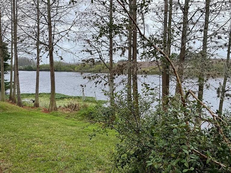 3449 HERON ISLAND DR — photo 5