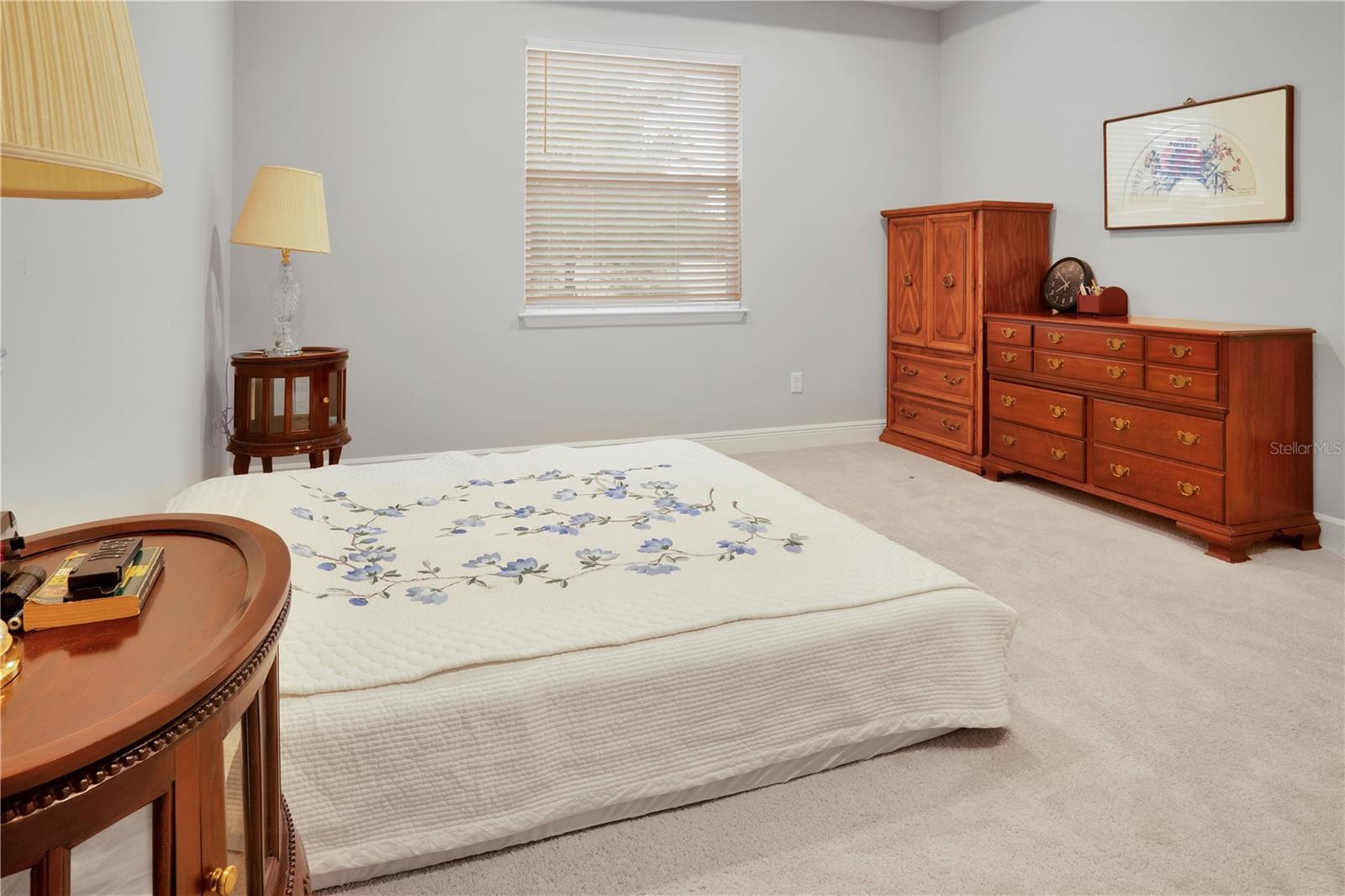 23278 SCAGLIONE DR — photo 19