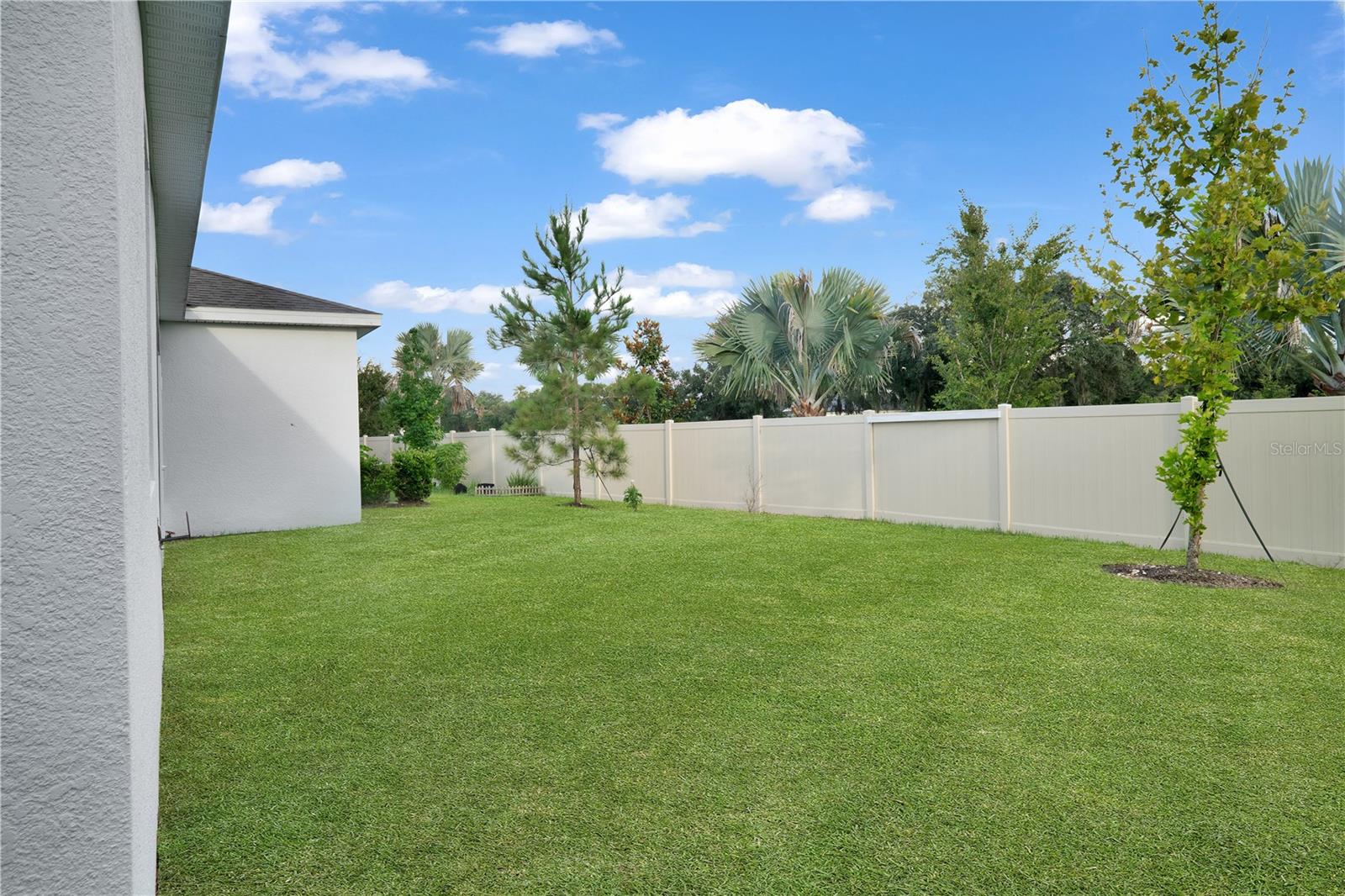 23278 SCAGLIONE DR — photo 40