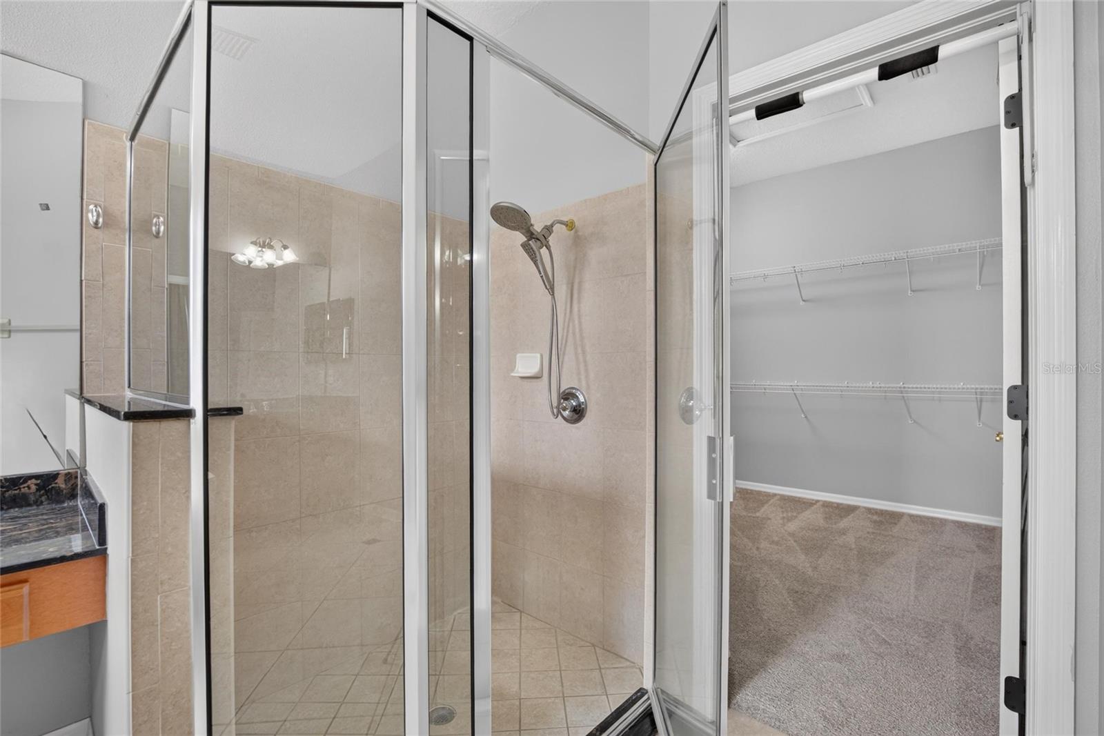 5246 BRIGHTON SHORE DR — photo 32