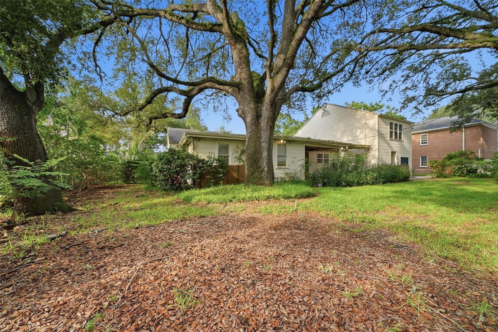 3123 W OAKLYN AVE — photo 29