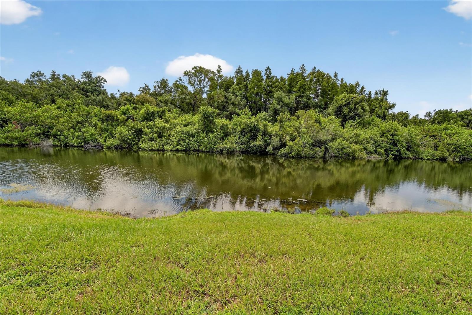 8435 HUNTERS FORK LOOP — photo 13