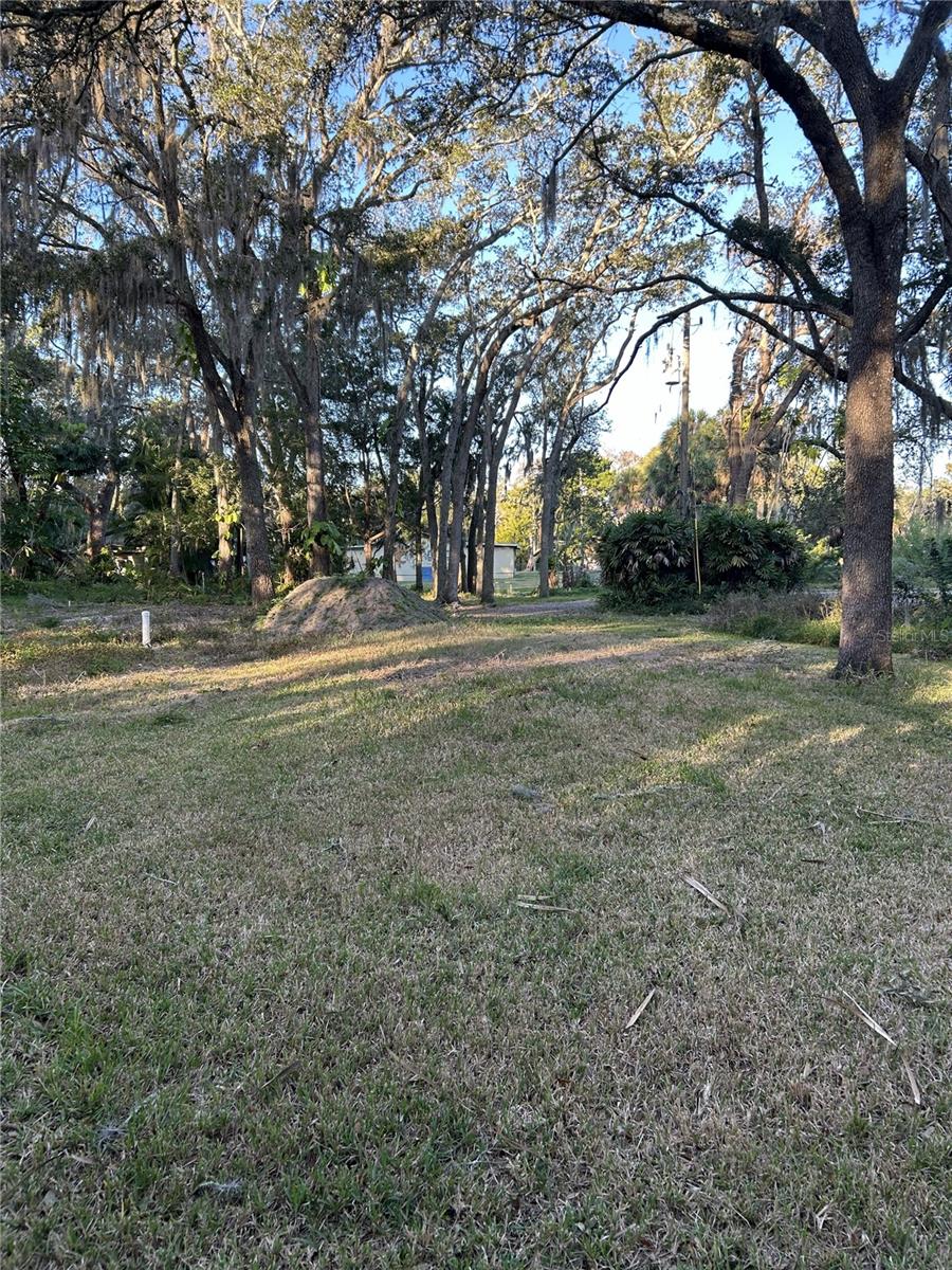 14428 GUAVA ST — photo 16