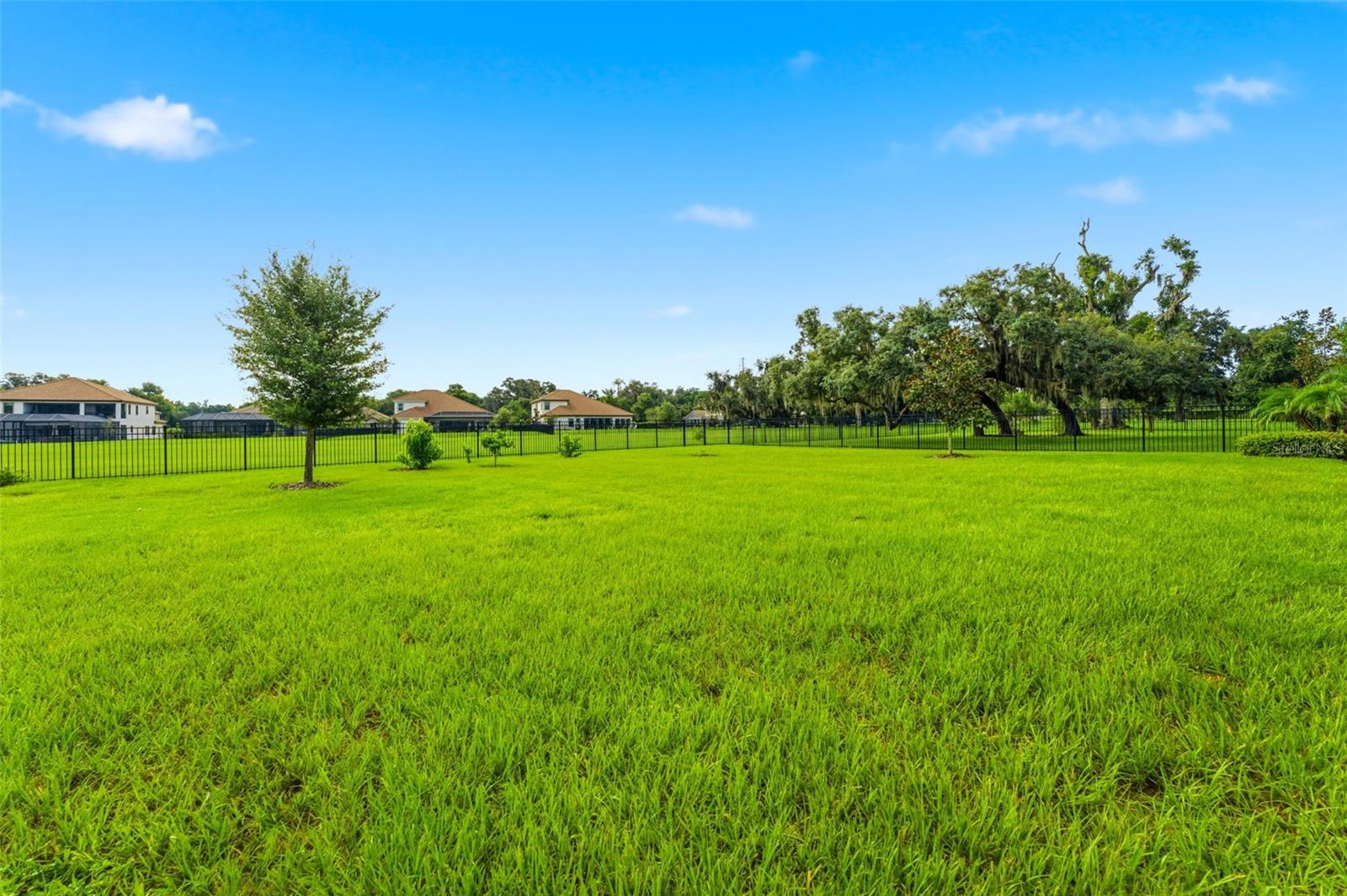 10370 MEADOWRUN DR — photo 68