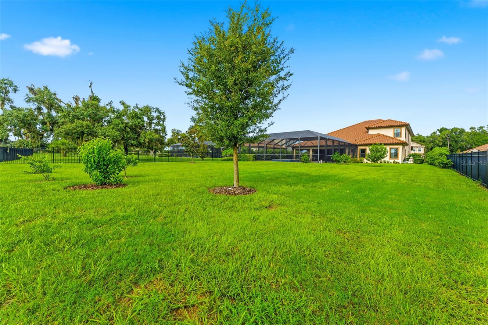 10370 MEADOWRUN DR — photo 69