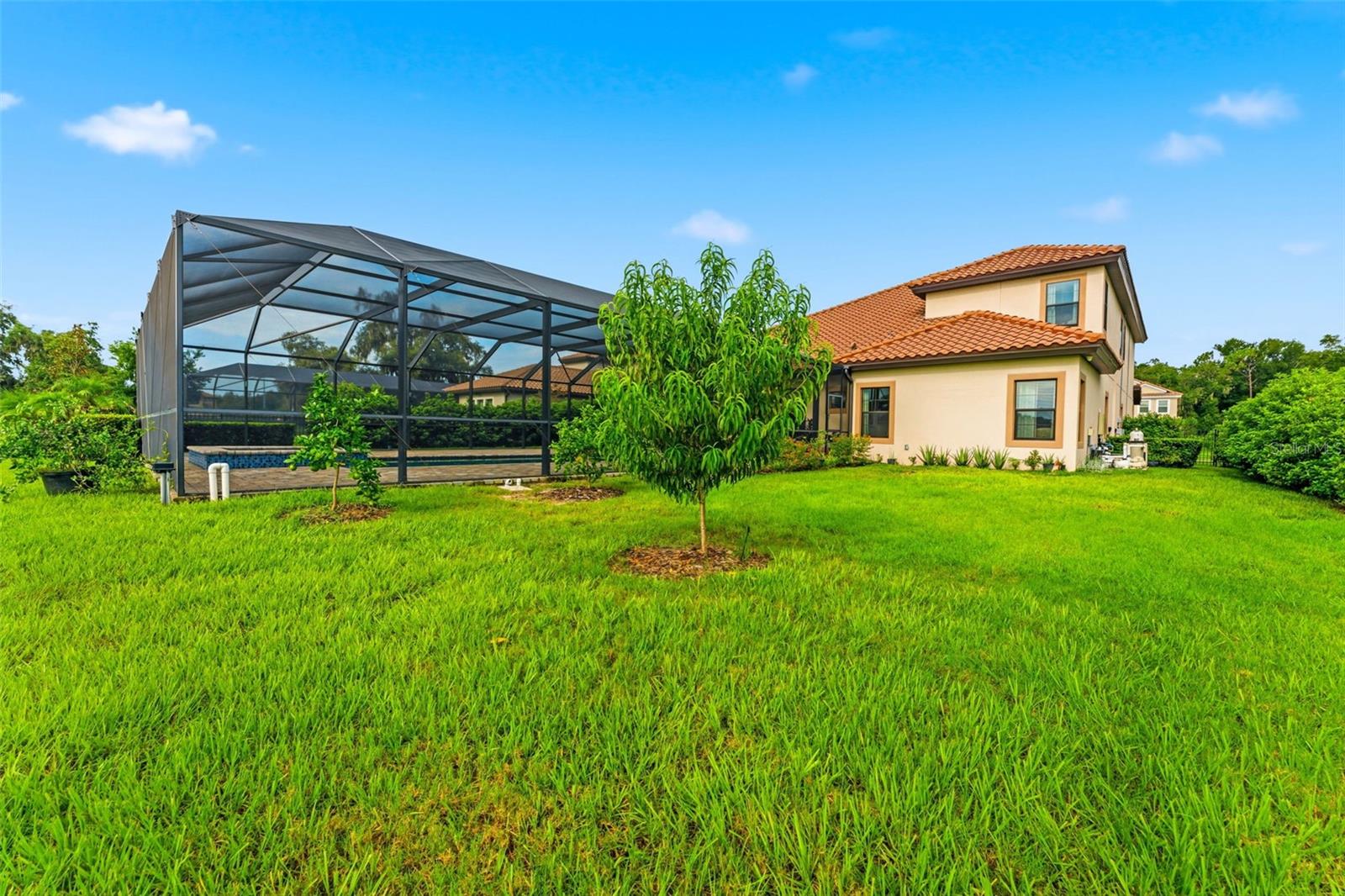 10370 MEADOWRUN DR — photo 66