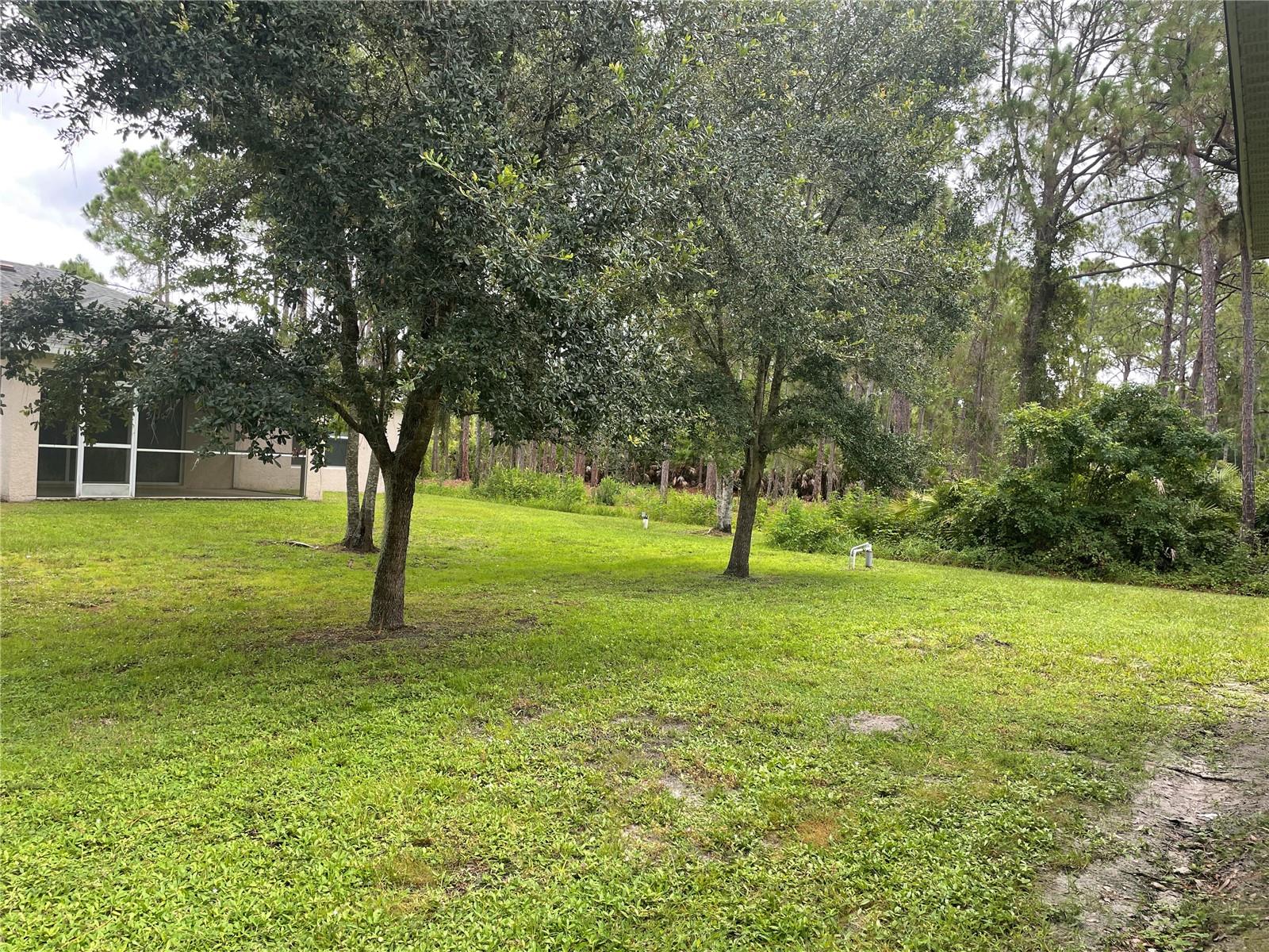 1818 GOVERNOR AVE — photo 26