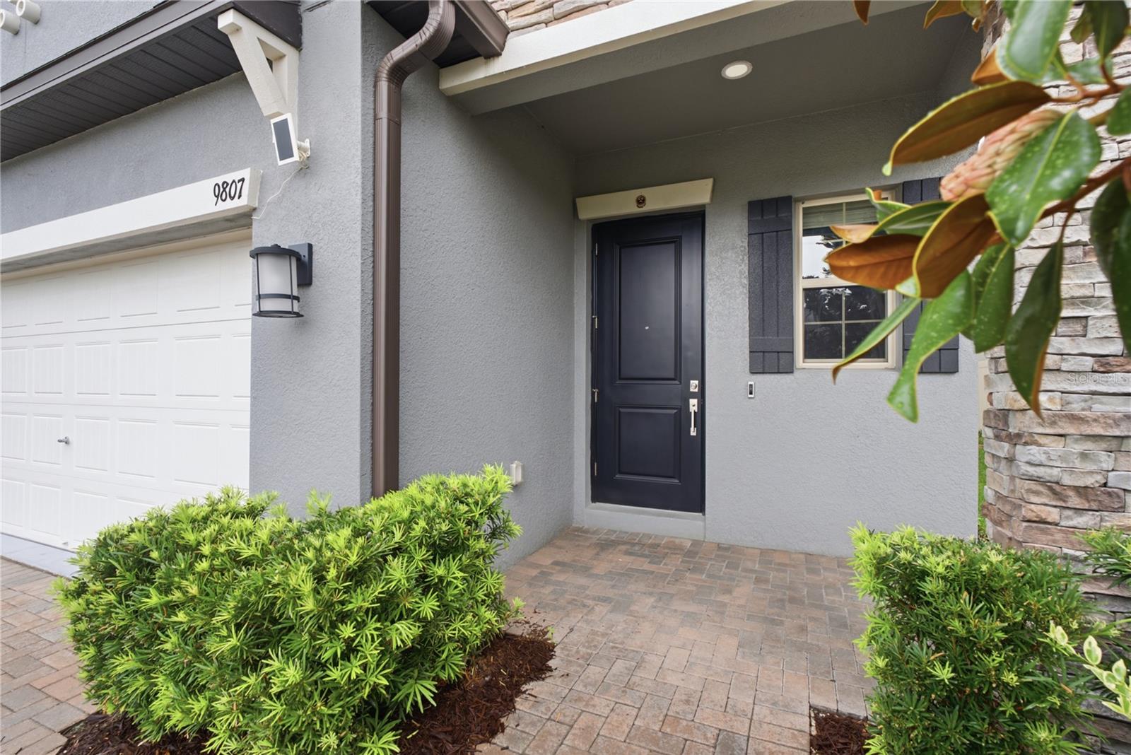 9807 WILD BEGONIA LOOP — photo 4
