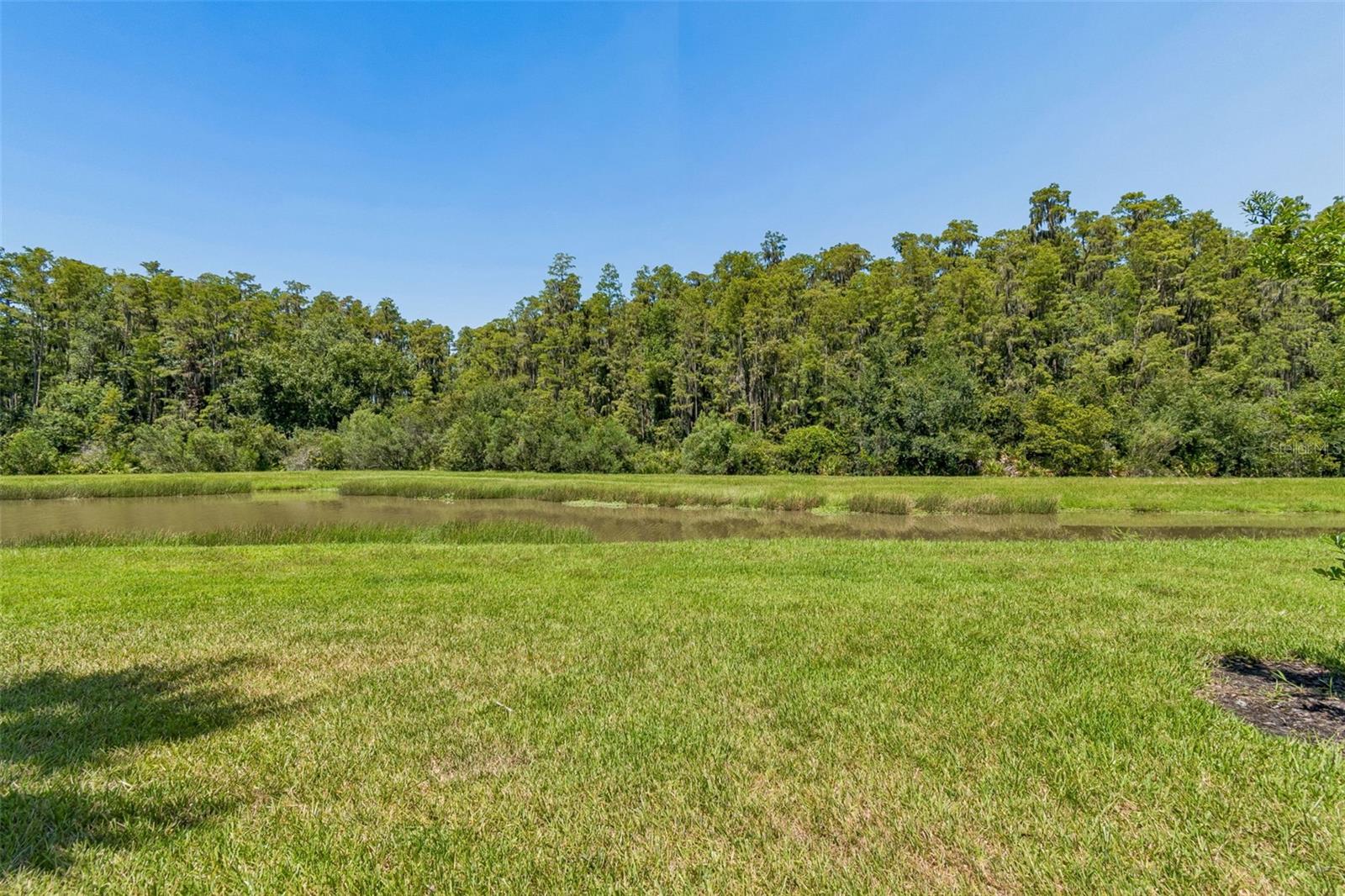 4333 CAIROLI CT — photo 66
