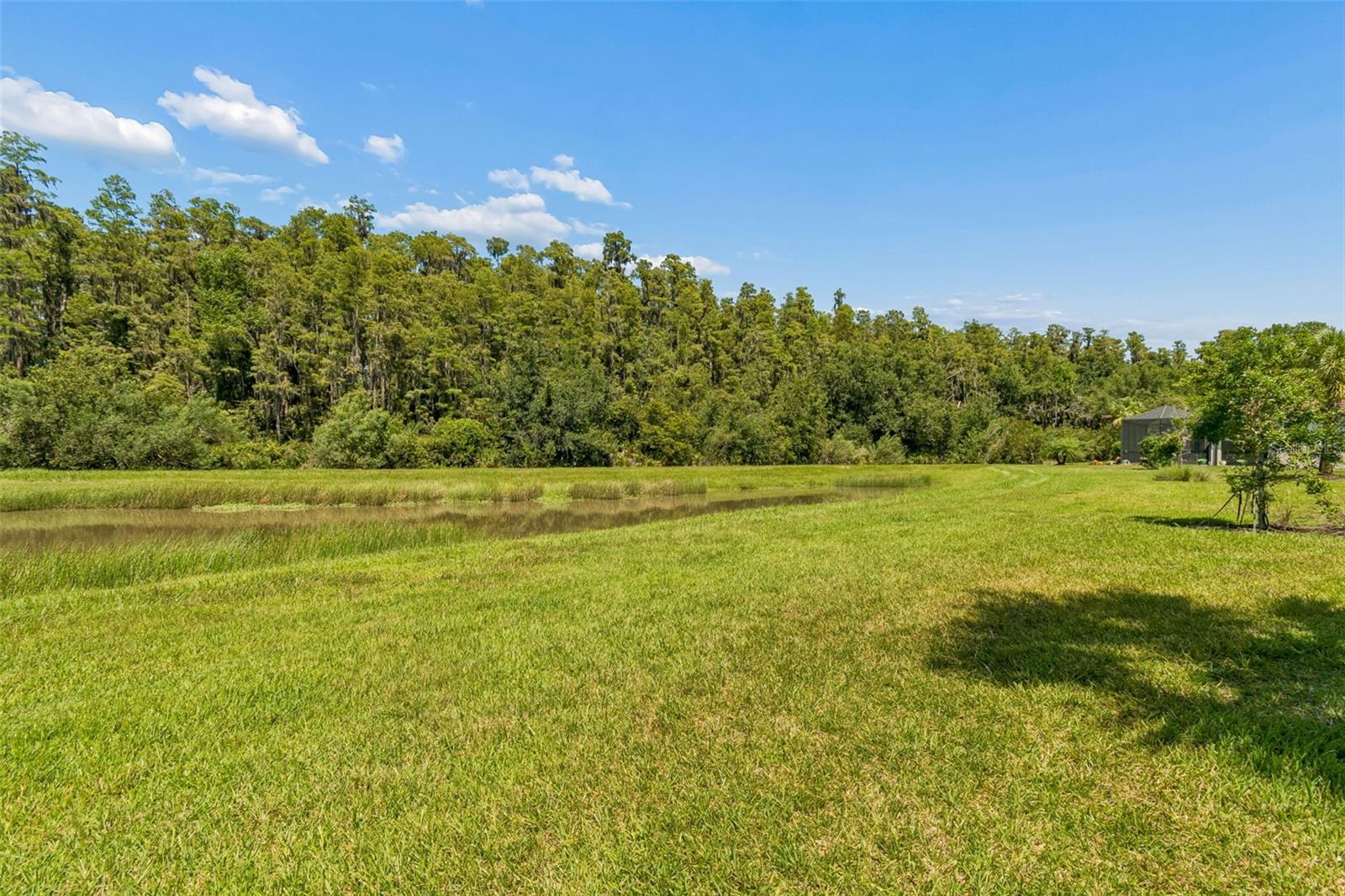 4333 CAIROLI CT — photo 62