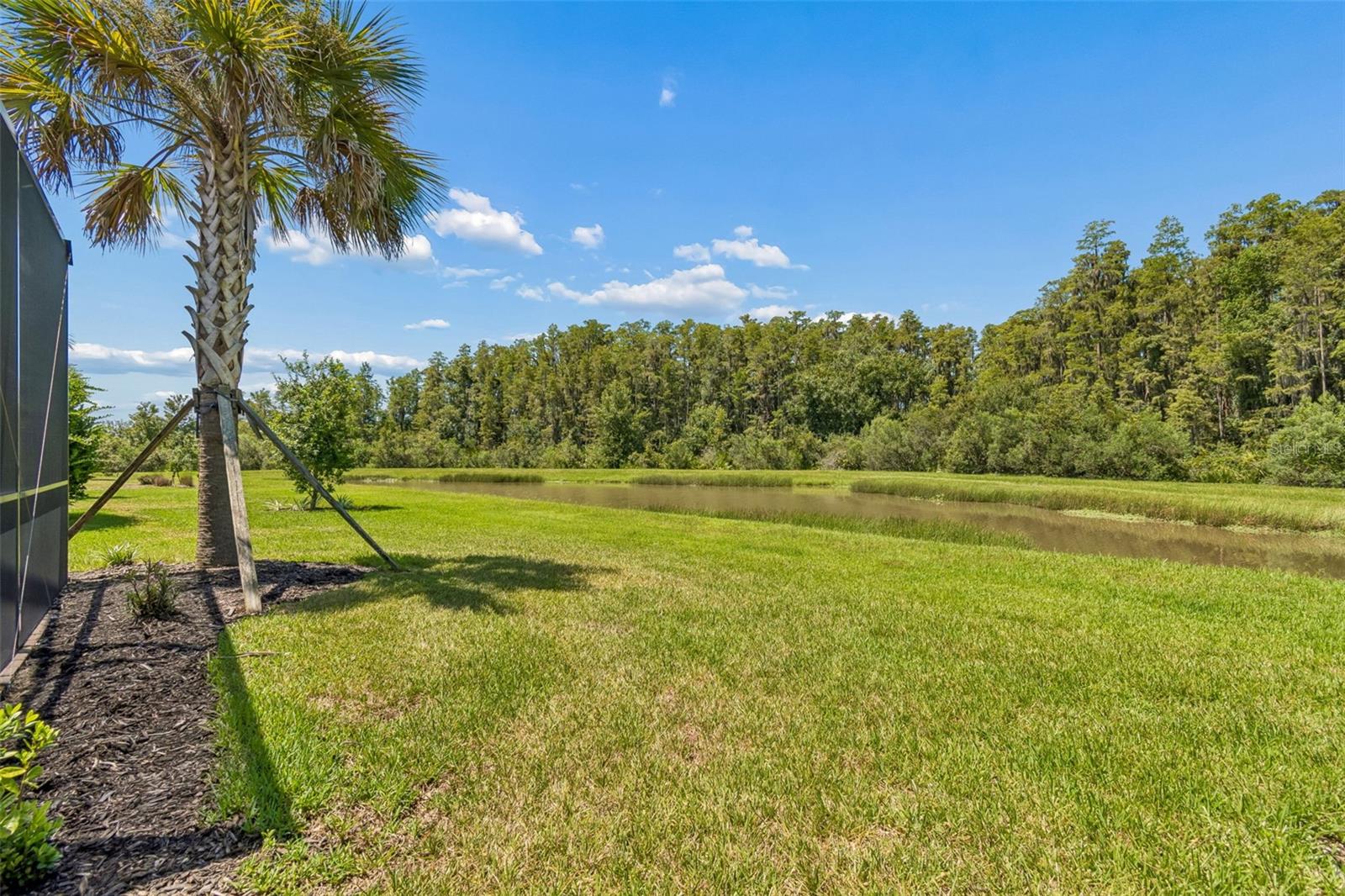 4333 CAIROLI CT — photo 65