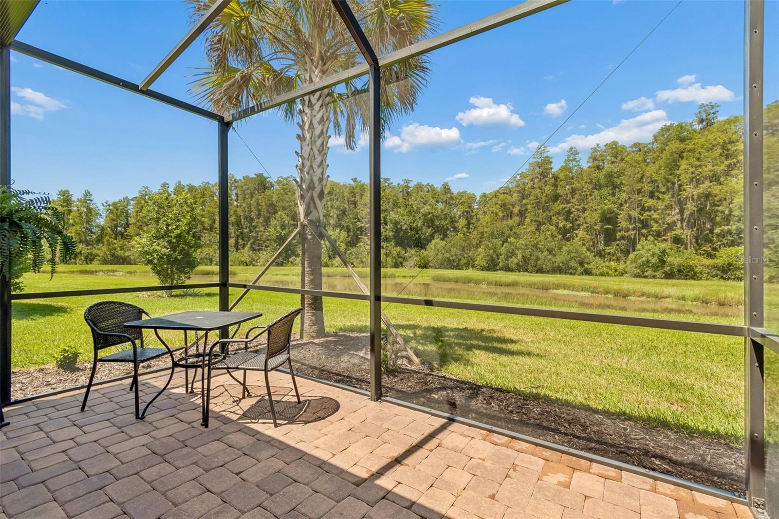 4333 CAIROLI CT — photo 59
