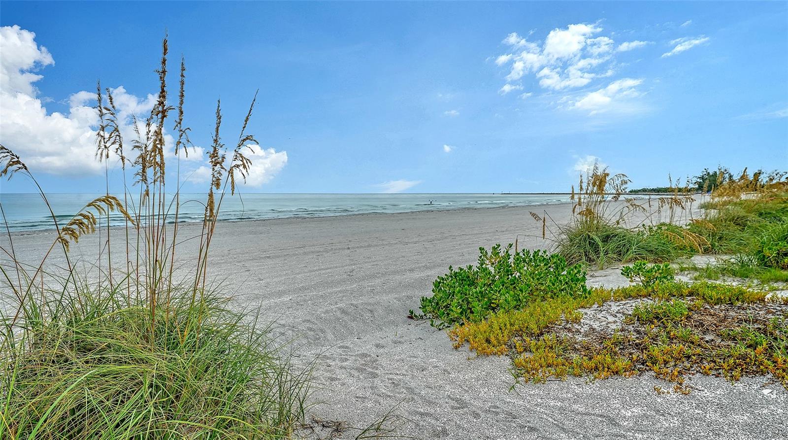 1150 TARPON CENTER DR #1-C #103 — photo 37
