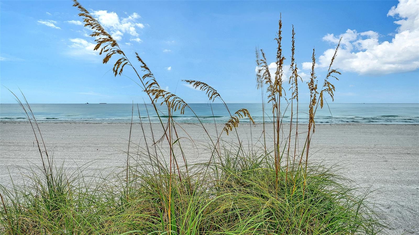 1150 TARPON CENTER DR #1-C #103 — photo 36