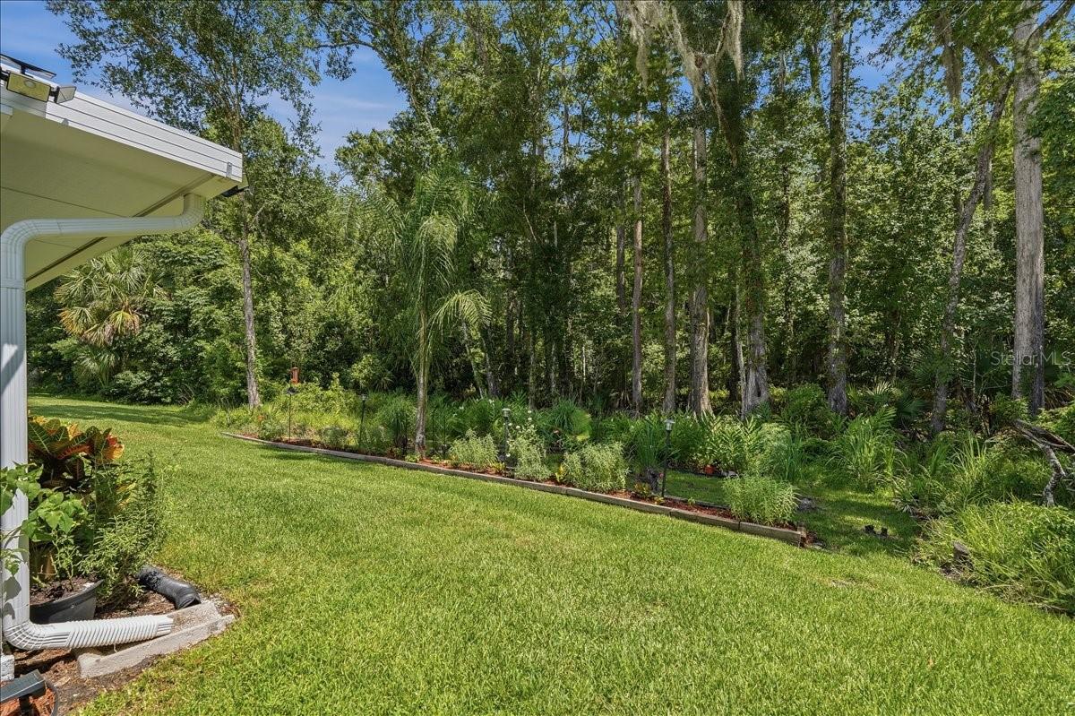11602 WHITE ASH DR — photo 40
