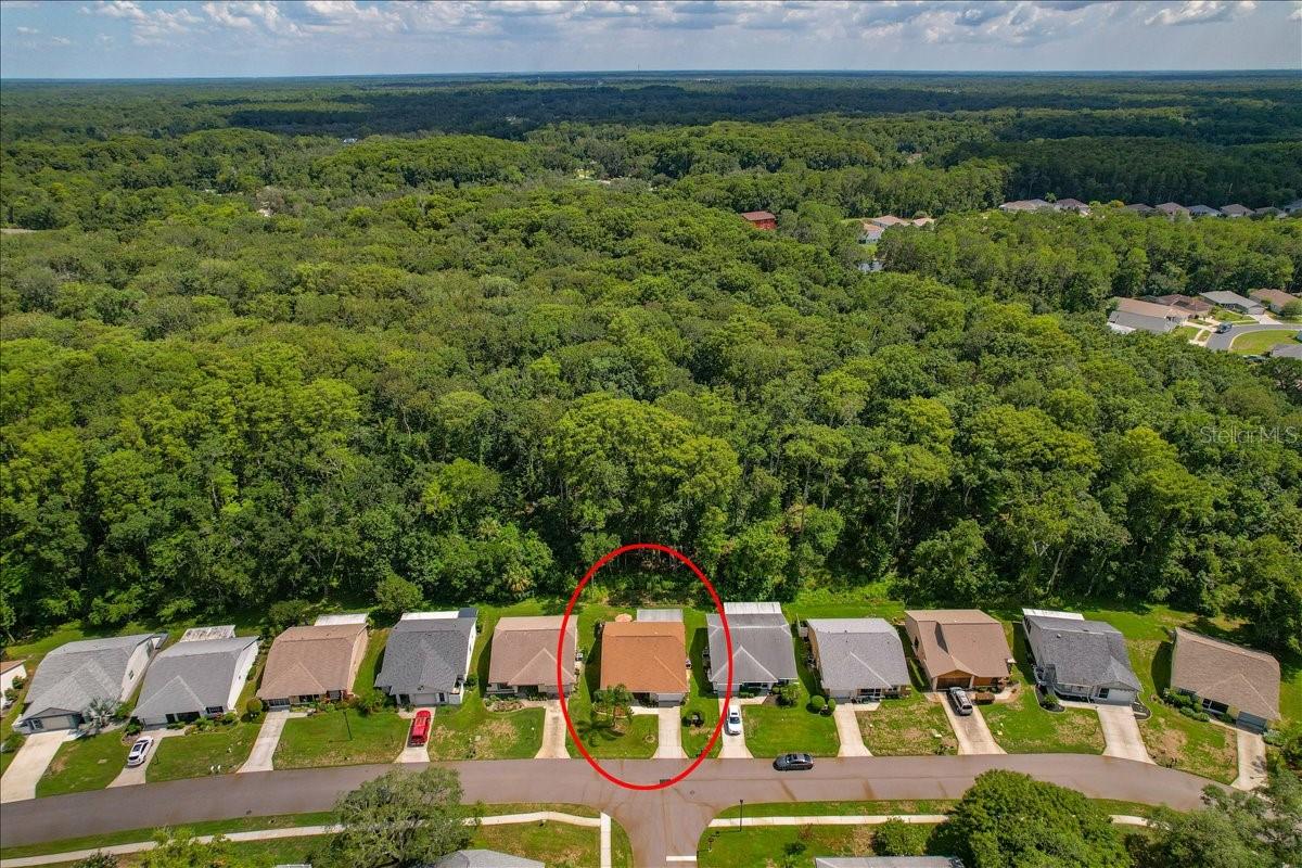 11602 WHITE ASH DR — photo 49
