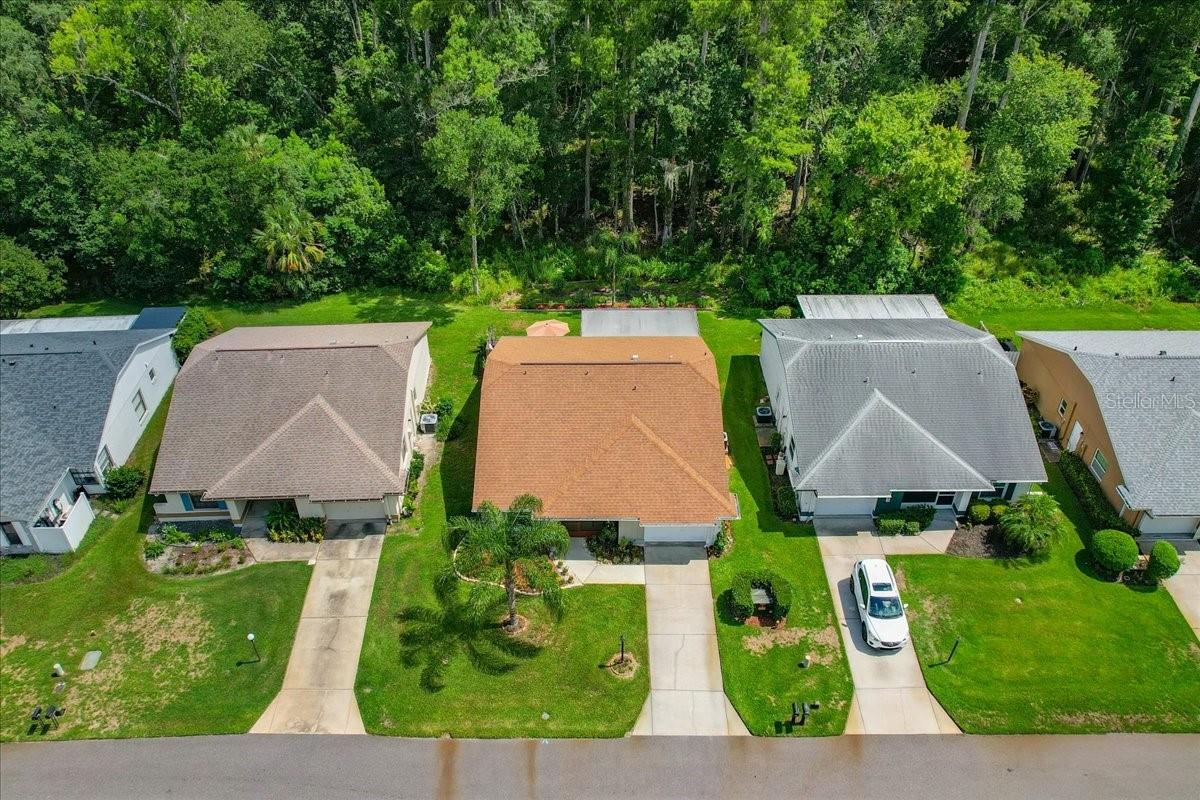 11602 WHITE ASH DR — photo 44