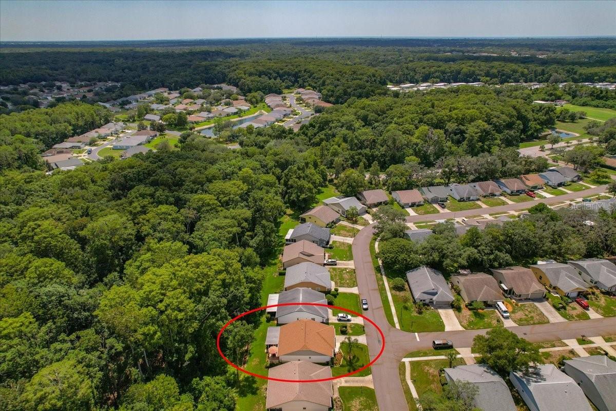 11602 WHITE ASH DR — photo 48