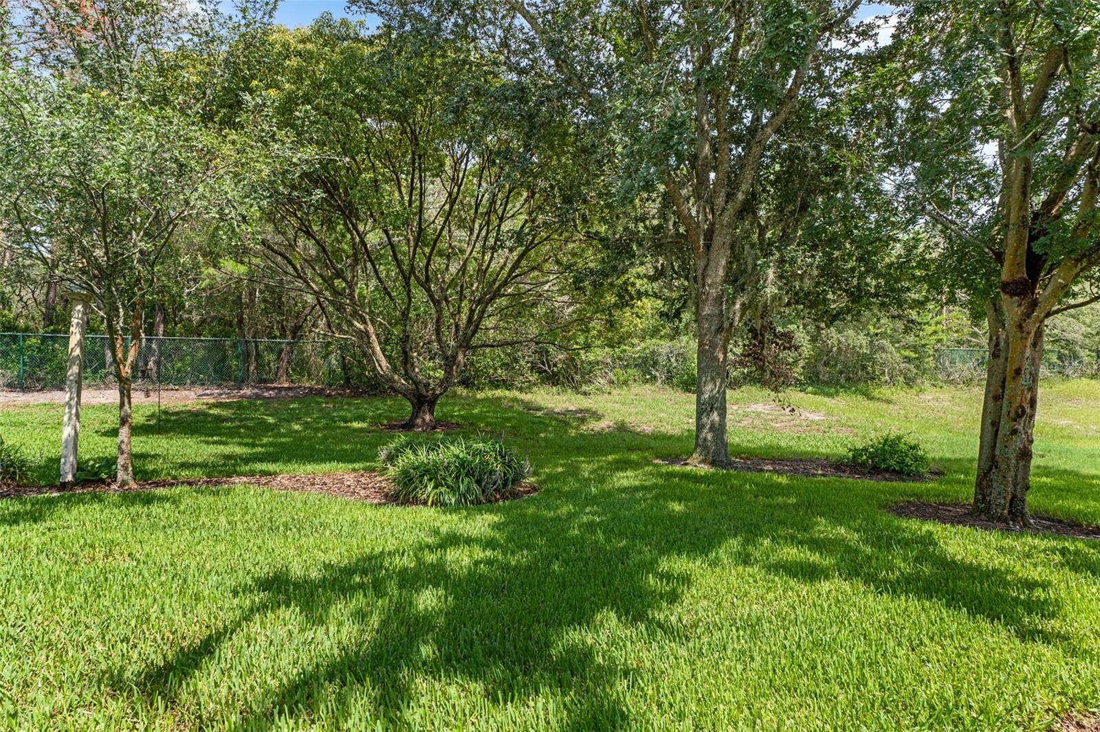 18630 BENT PINE DR — photo 41