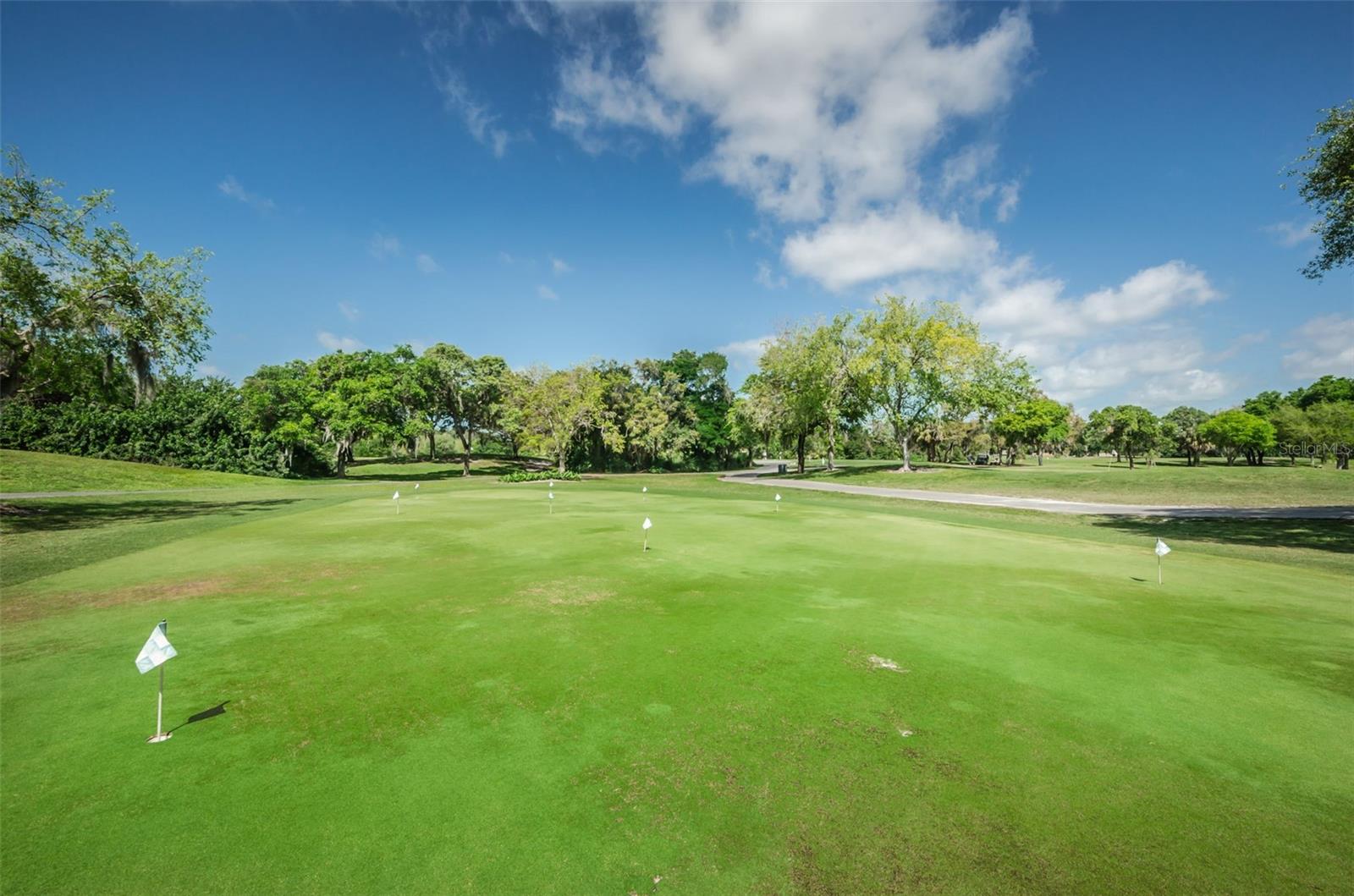 8136 GOLF CLUB CT — photo 99
