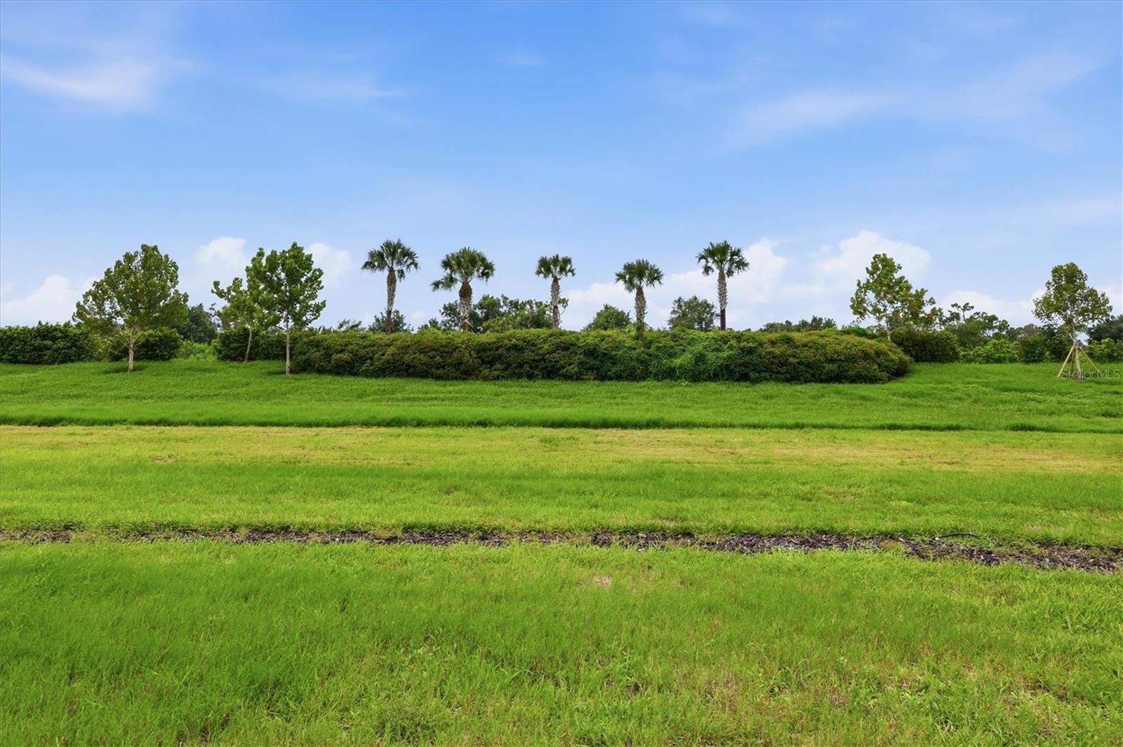 24173 SPARTINA DR — photo 33
