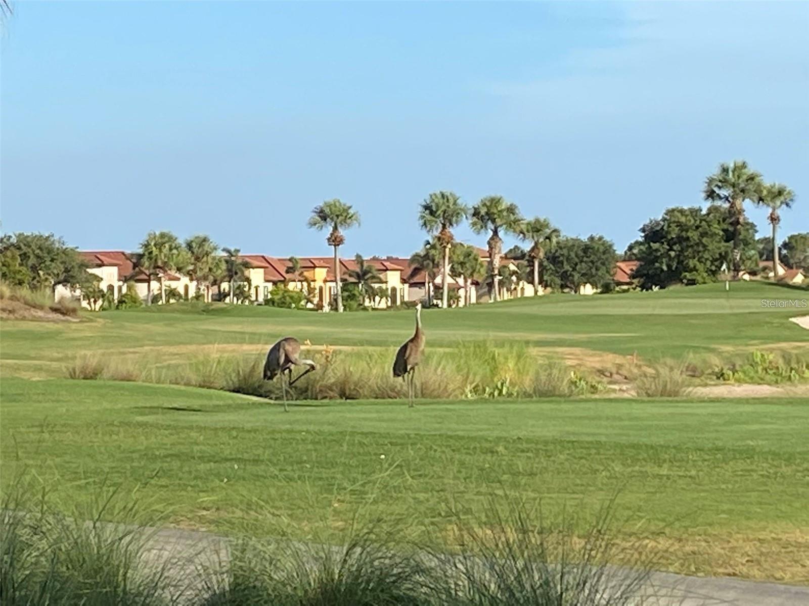24173 SPARTINA DR — photo 43