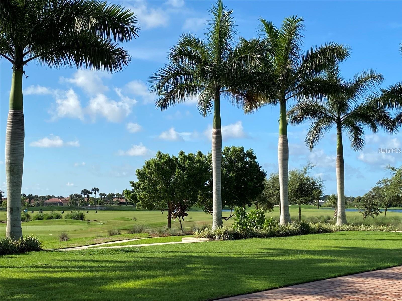 24173 SPARTINA DR — photo 45