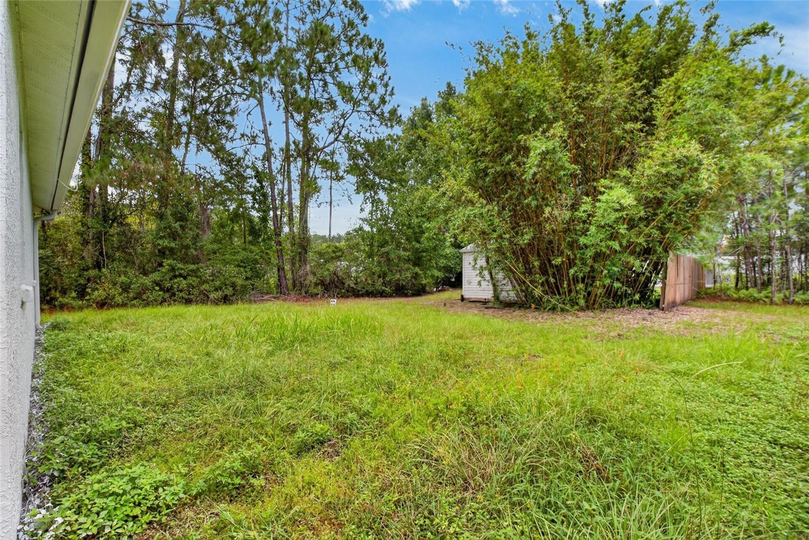 27526 GREEN WILLOW RUN — photo 6