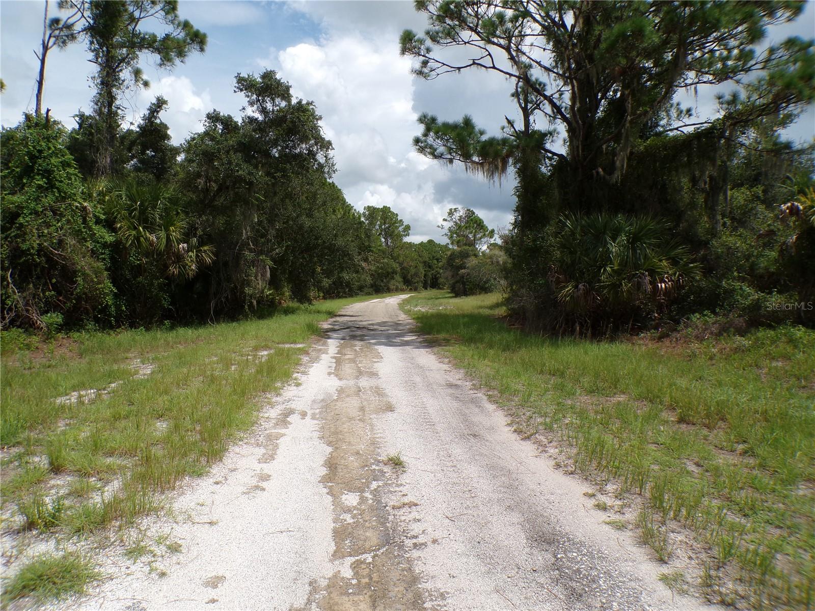 CONSTITUTION DR — photo 9