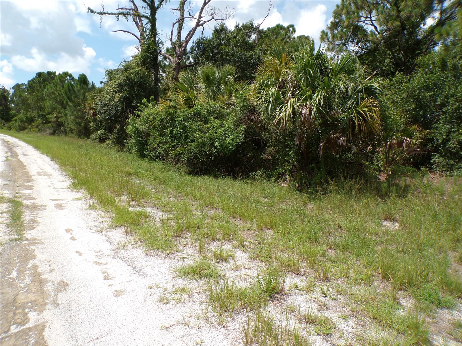 CONSTITUTION DR — photo 6