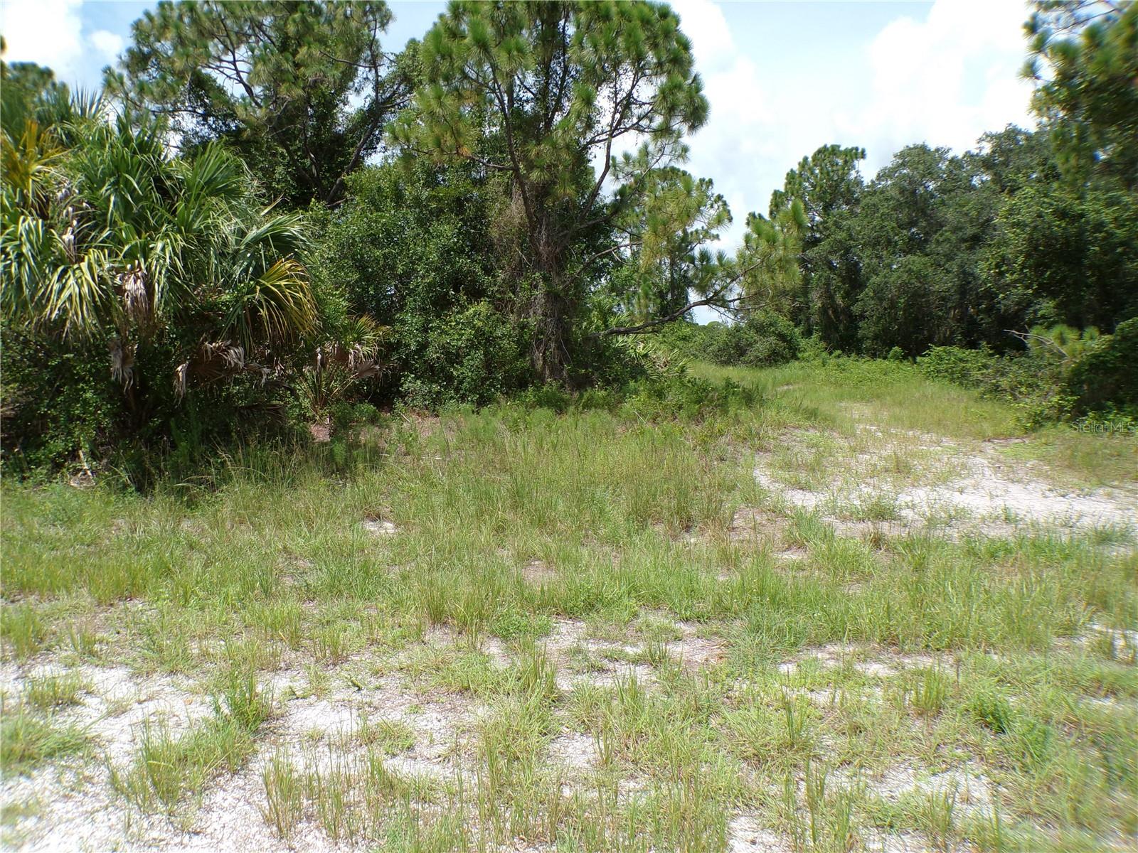CONSTITUTION DR — photo 5