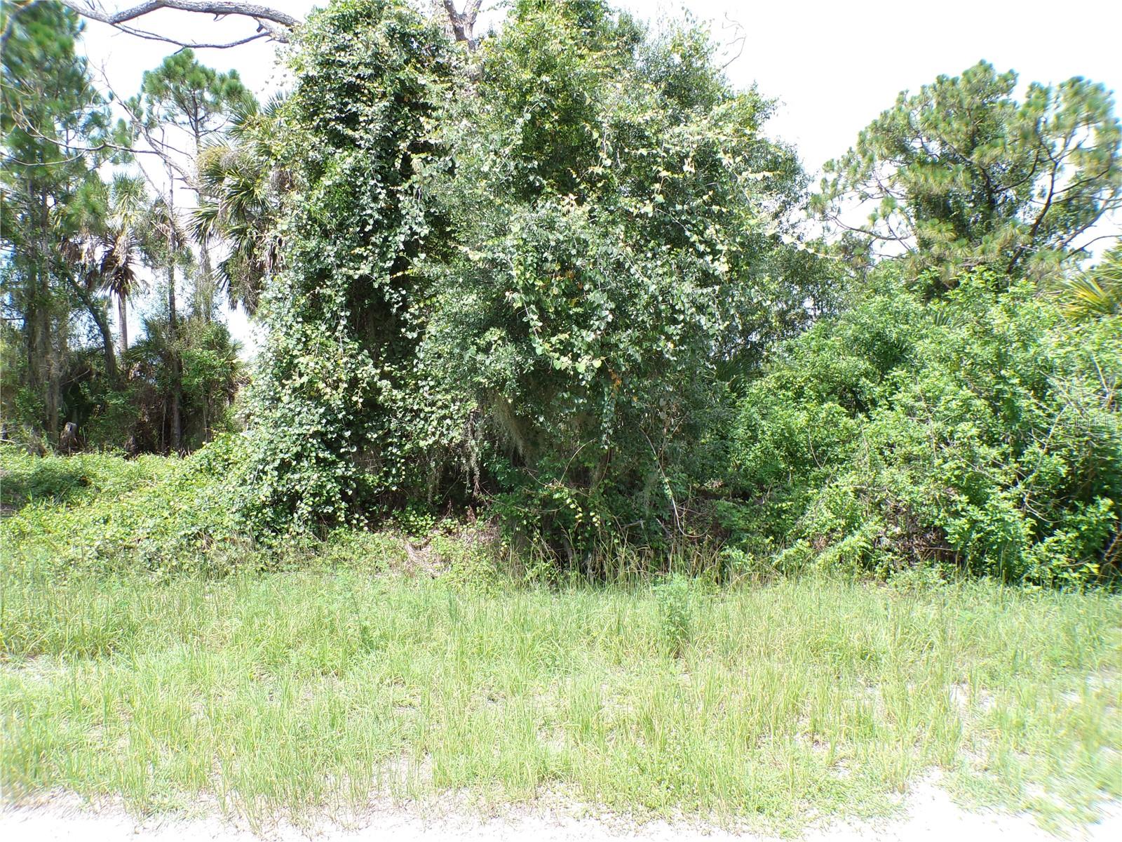 CONSTITUTION DR — photo 2