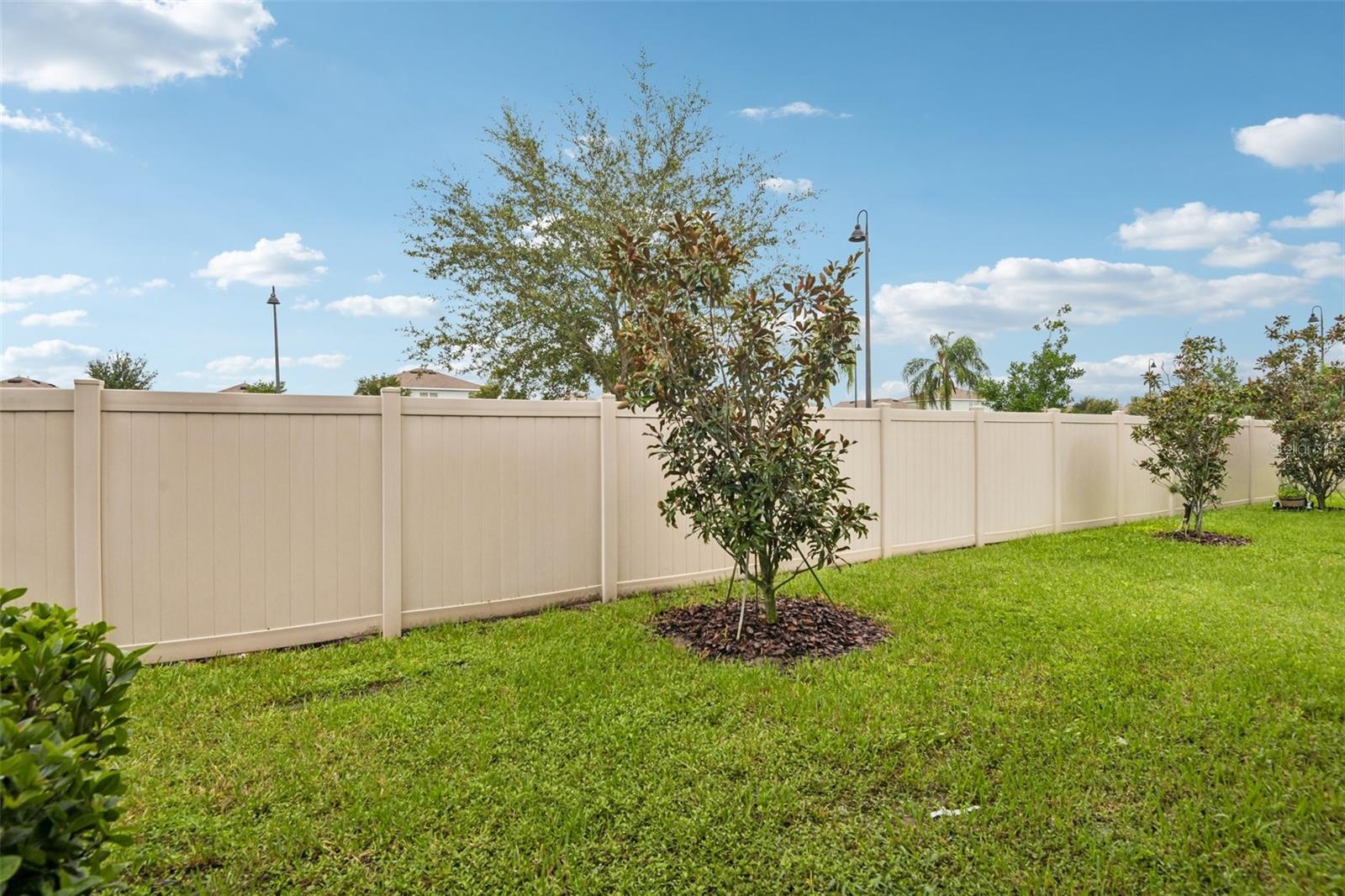 2685 SUNCOAST BLEND DR — photo 52