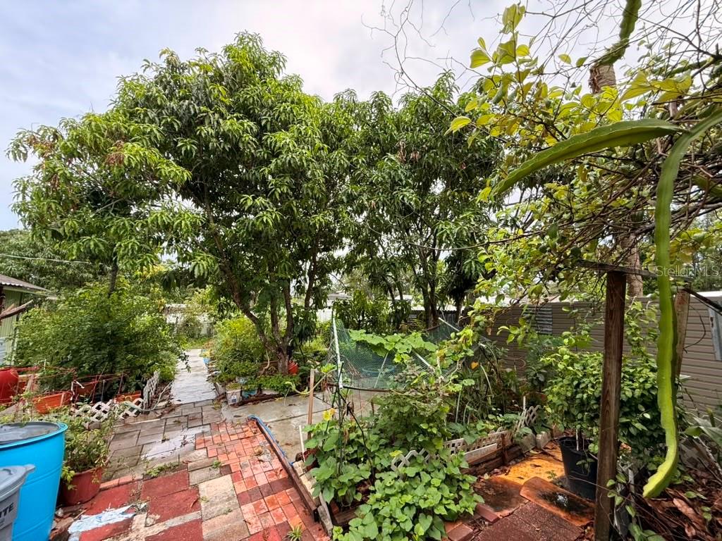 4203 S TRASK ST — photo 22