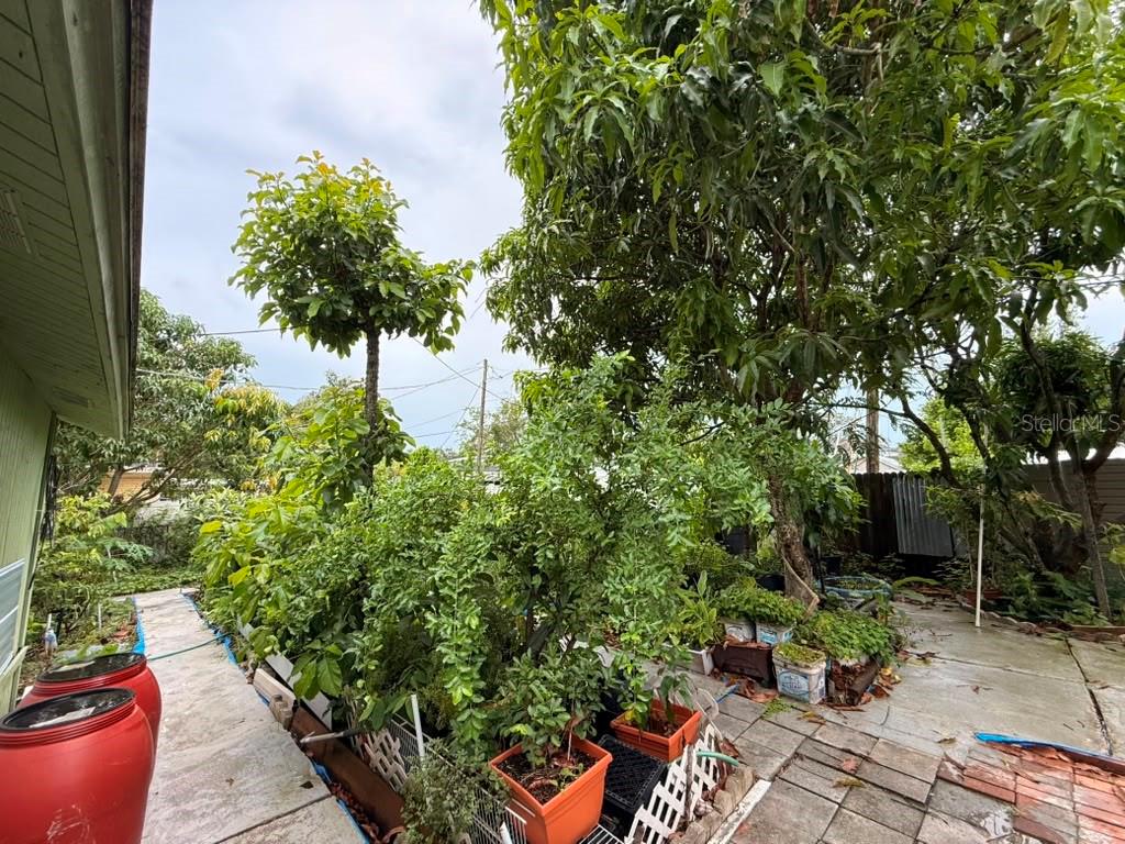 4203 S TRASK ST — photo 21