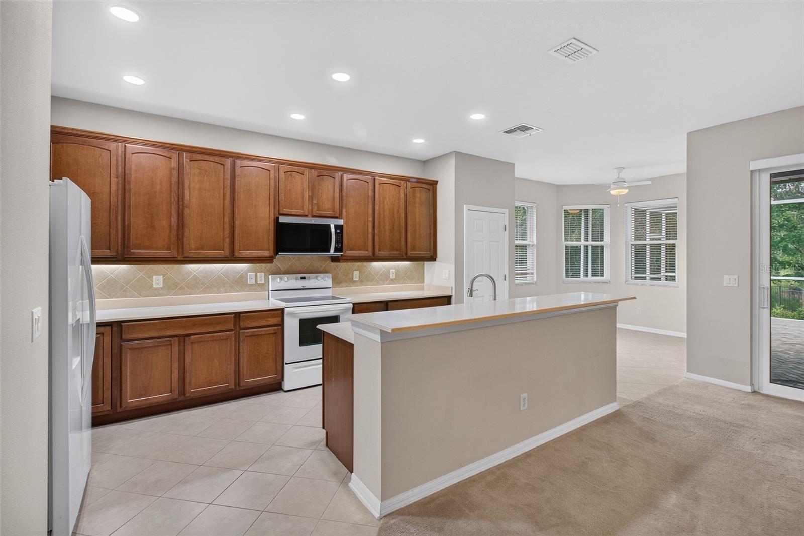 11156 MERGANSER WAY — photo 18