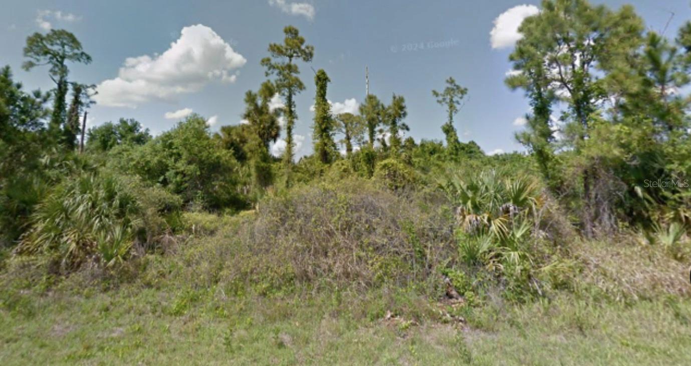 Lot 4 PIMENTO CIR — photo 4