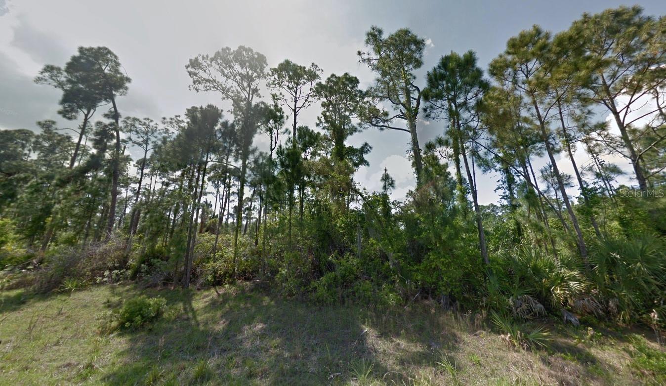 Lot 15 PIMENTO CIR — photo 3