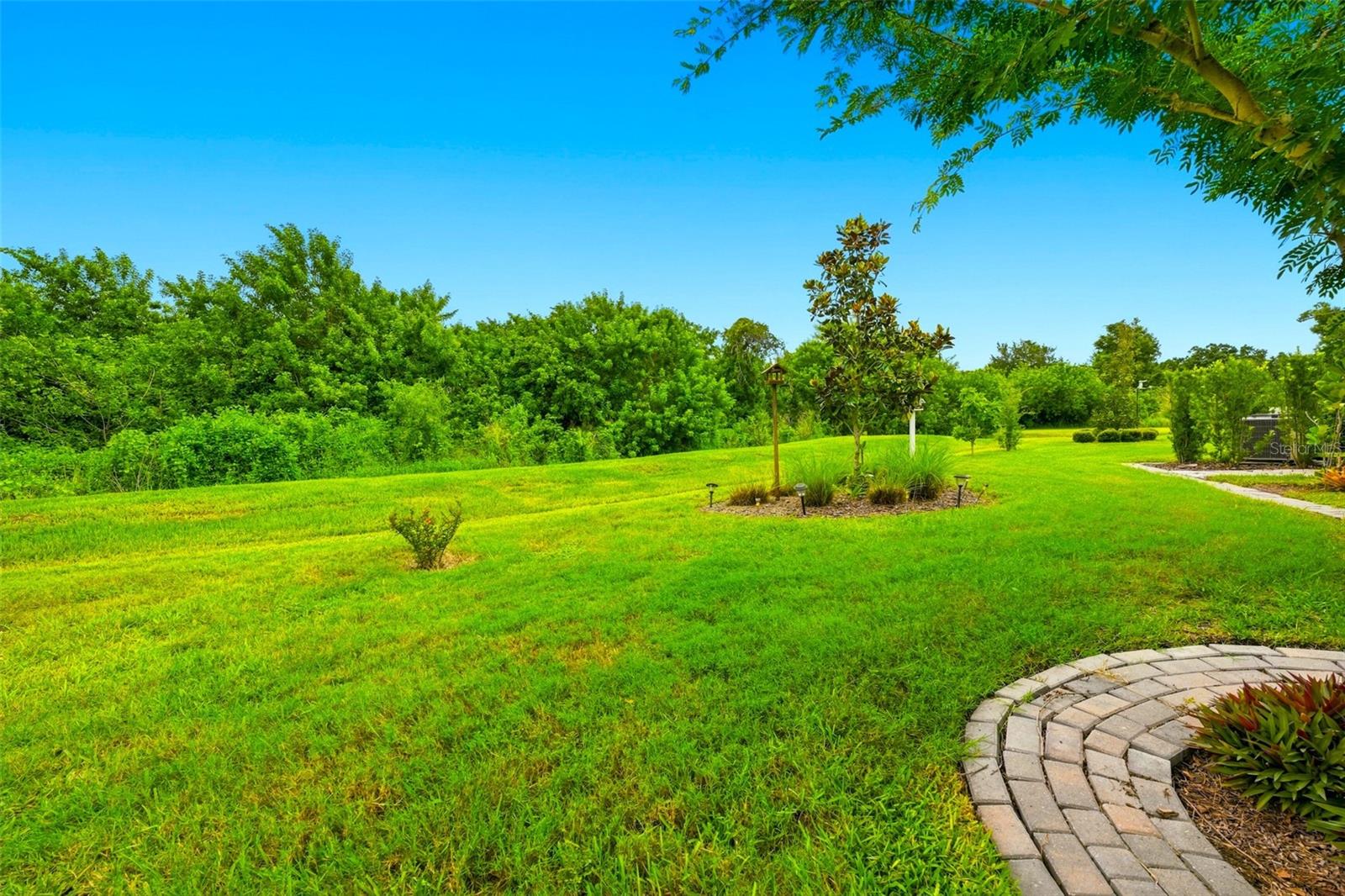 5231 WINDY GROVE DR — photo 39