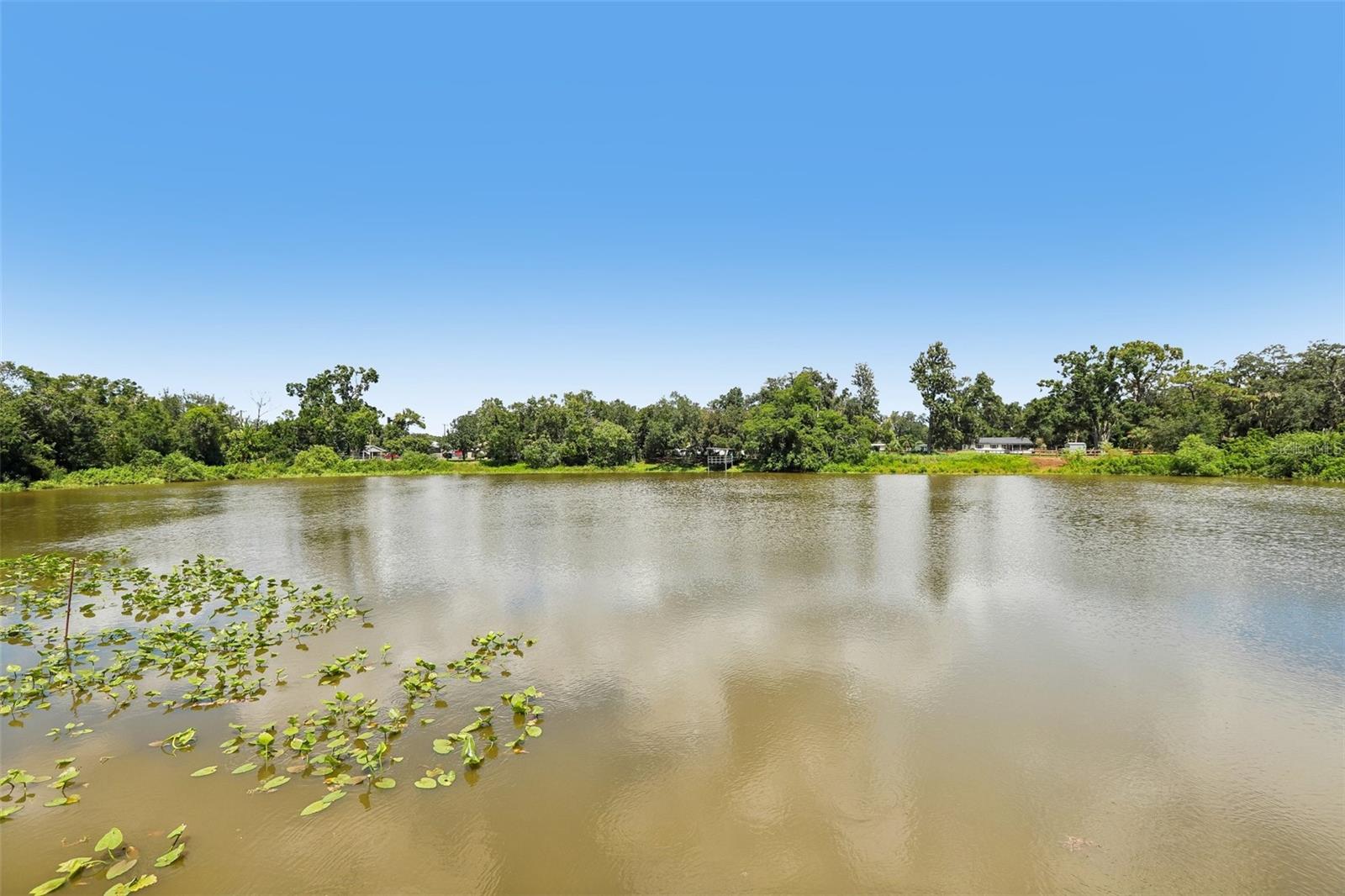 6510 SUNRIDGE DR — photo 79